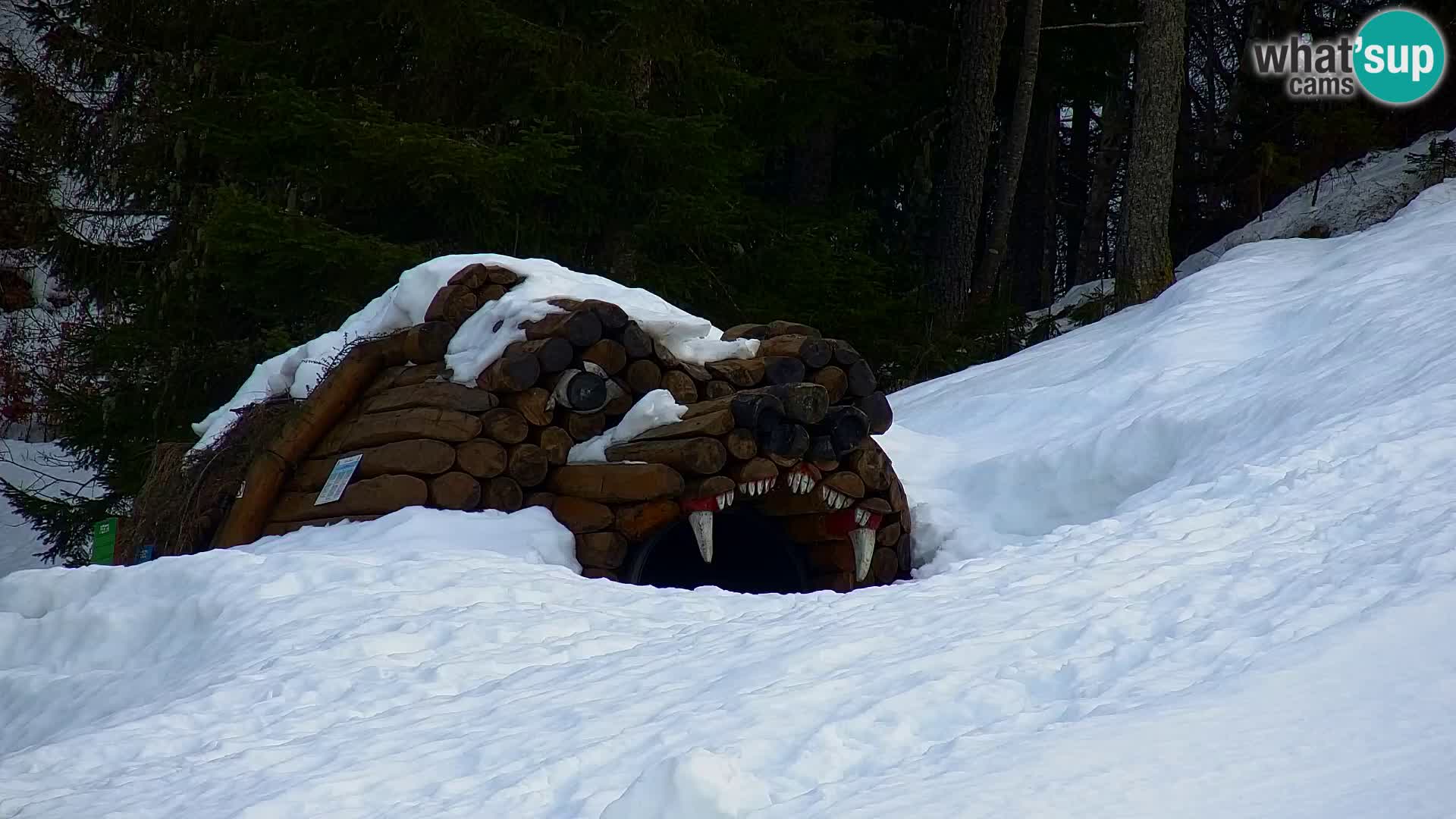 Vitranc Kranjska Gora webcam | VITRANC 1 stazione superiore