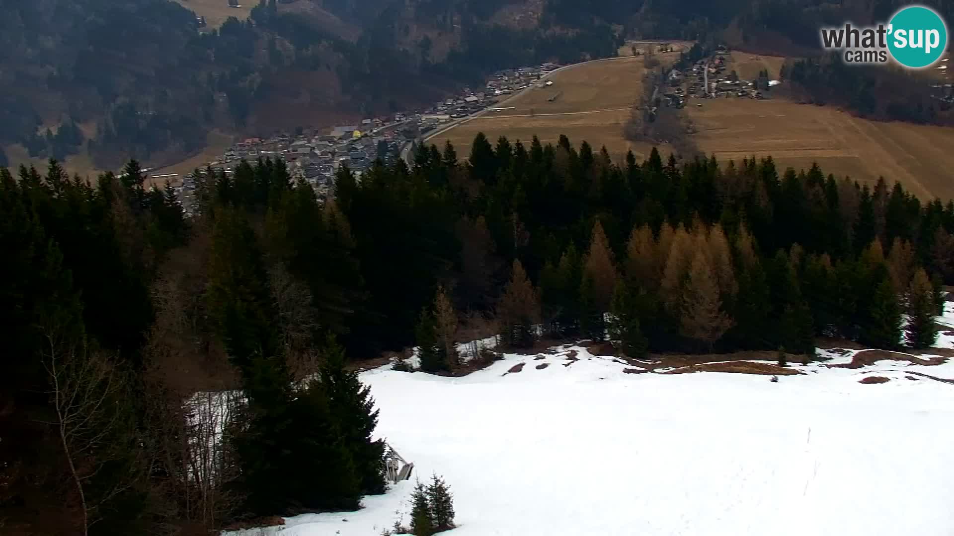 Vitranc Kranjska Gora webcam | VITRANC 1 stazione superiore