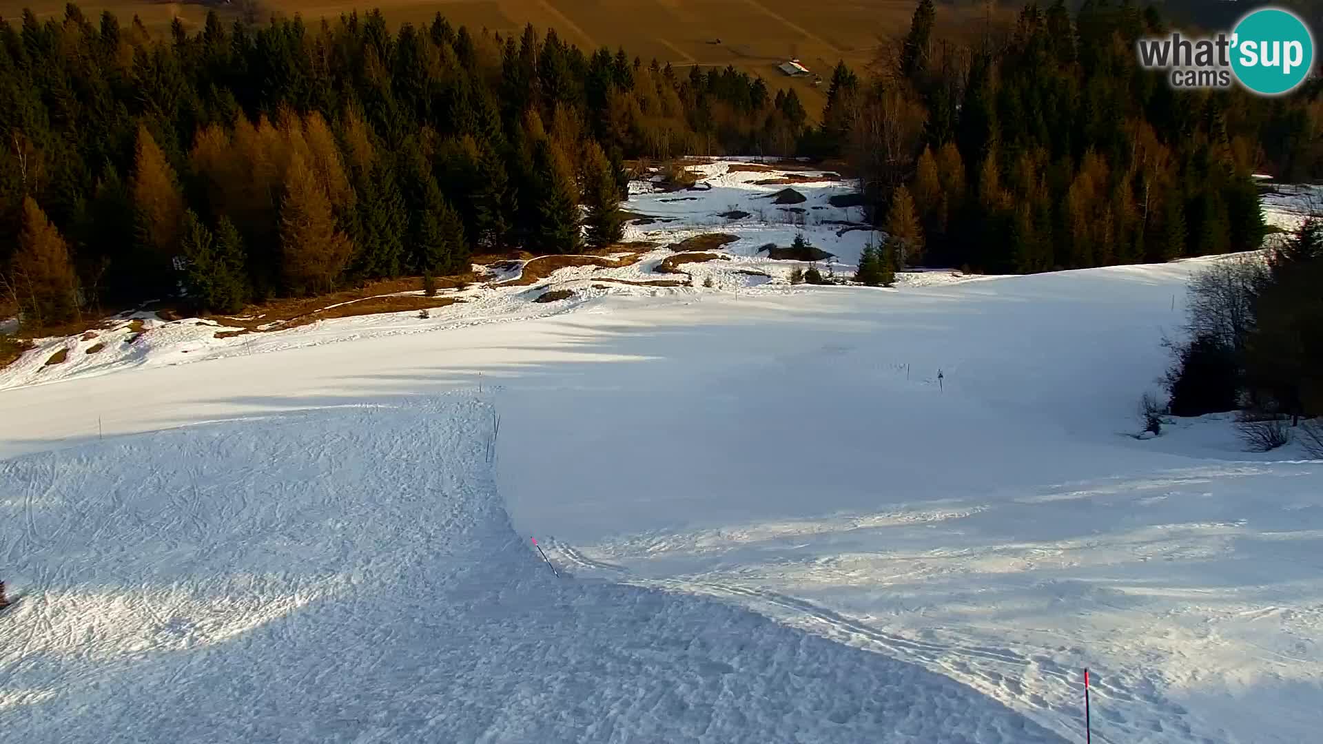 Kranjska Gora livecam VITRANC 1 | estación superior