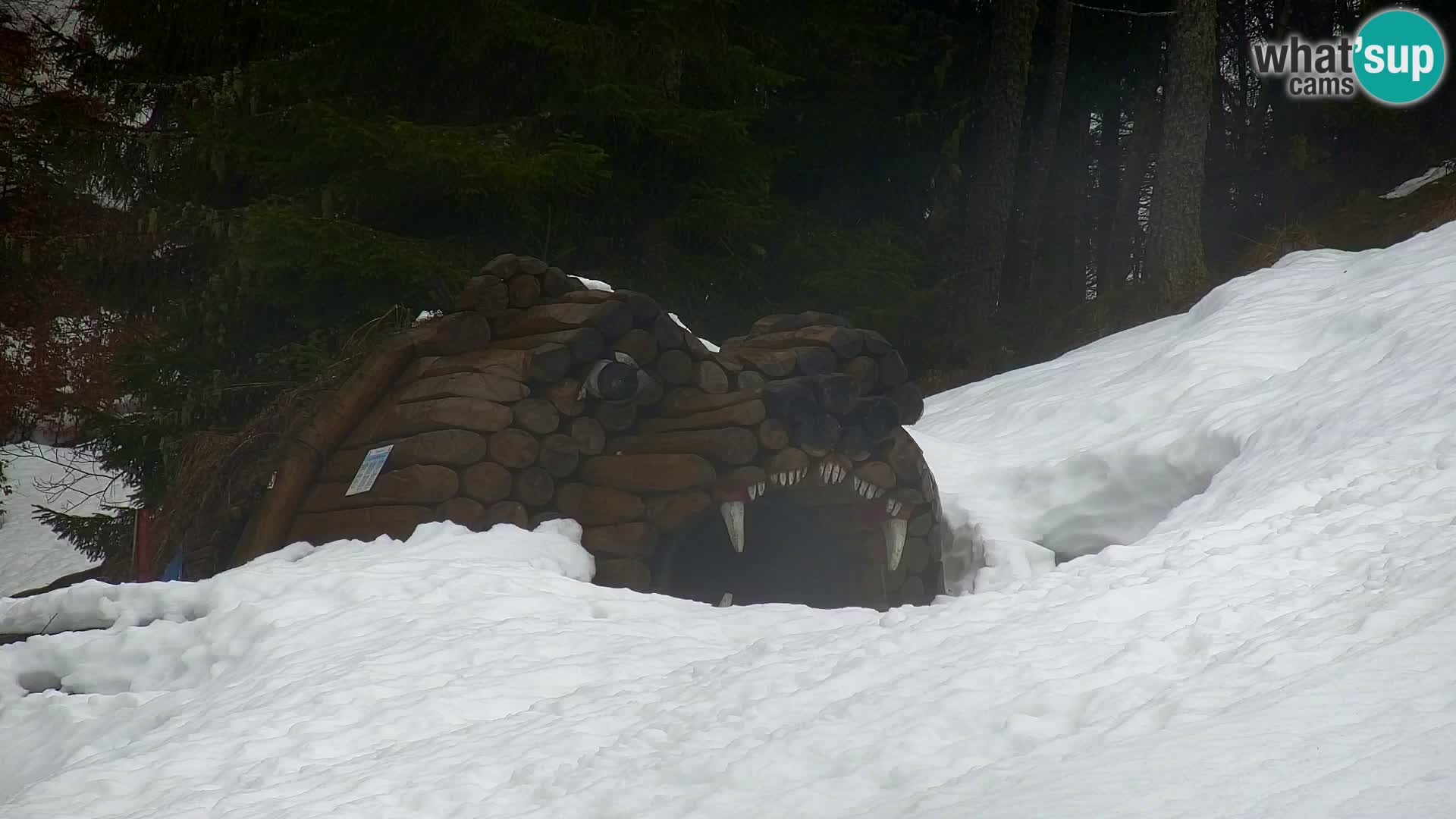 Kranjska Gora livecam VITRANC 1 | estación superior