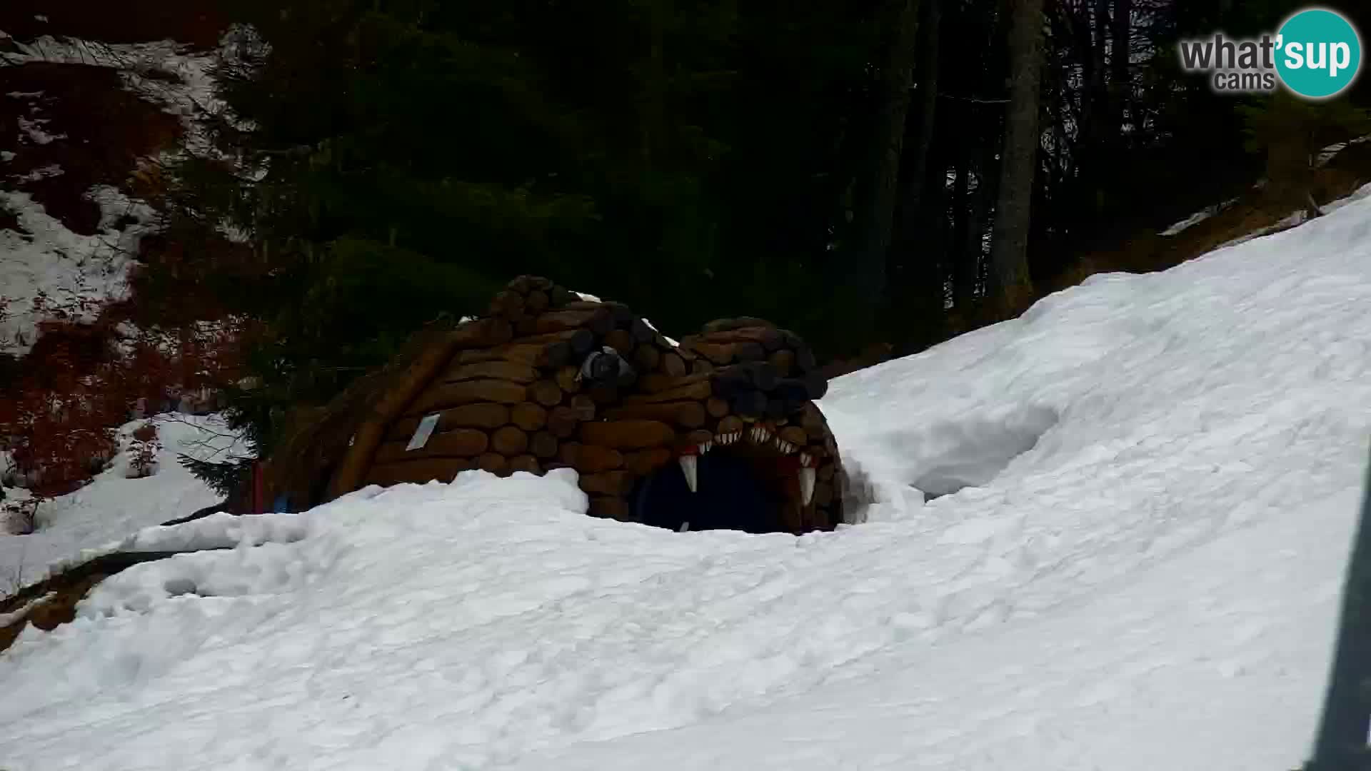 Kranjska Gora livecam VITRANC 1 | estación superior