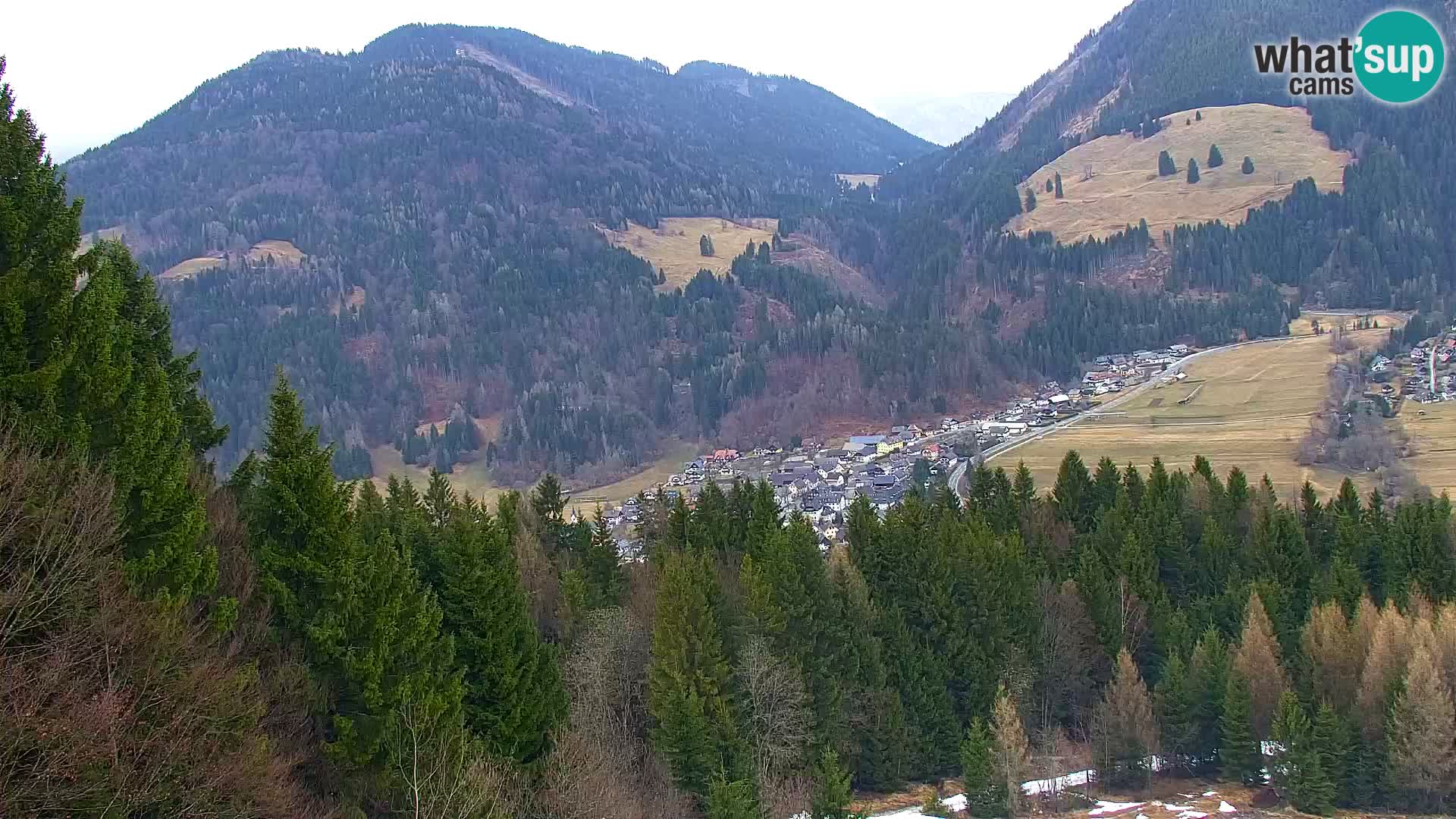 Vitranc Kranjska Gora webcam | VITRANC 1 stazione superiore