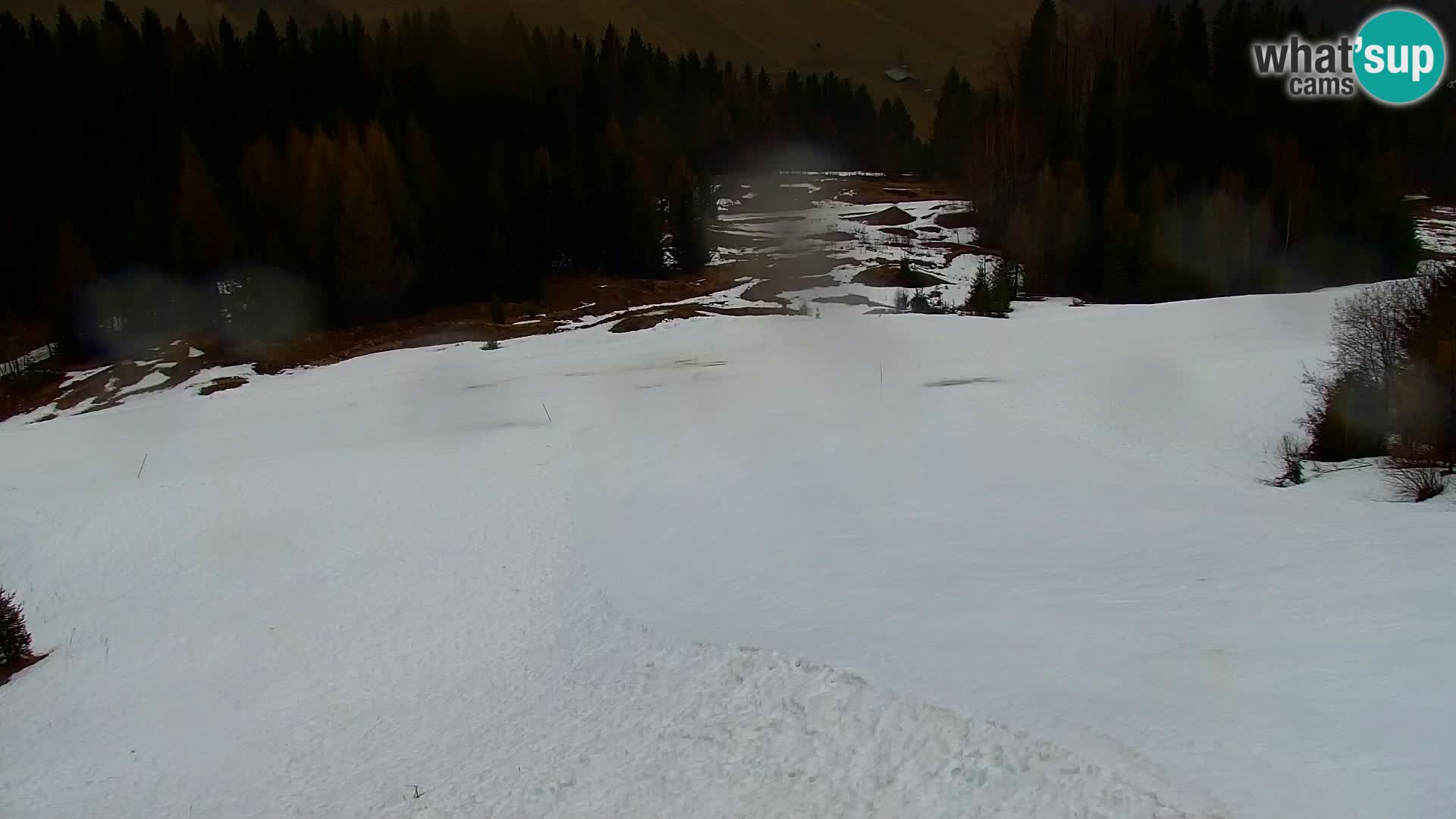 Vitranc Kranjska Gora webcam | VITRANC 1 stazione superiore