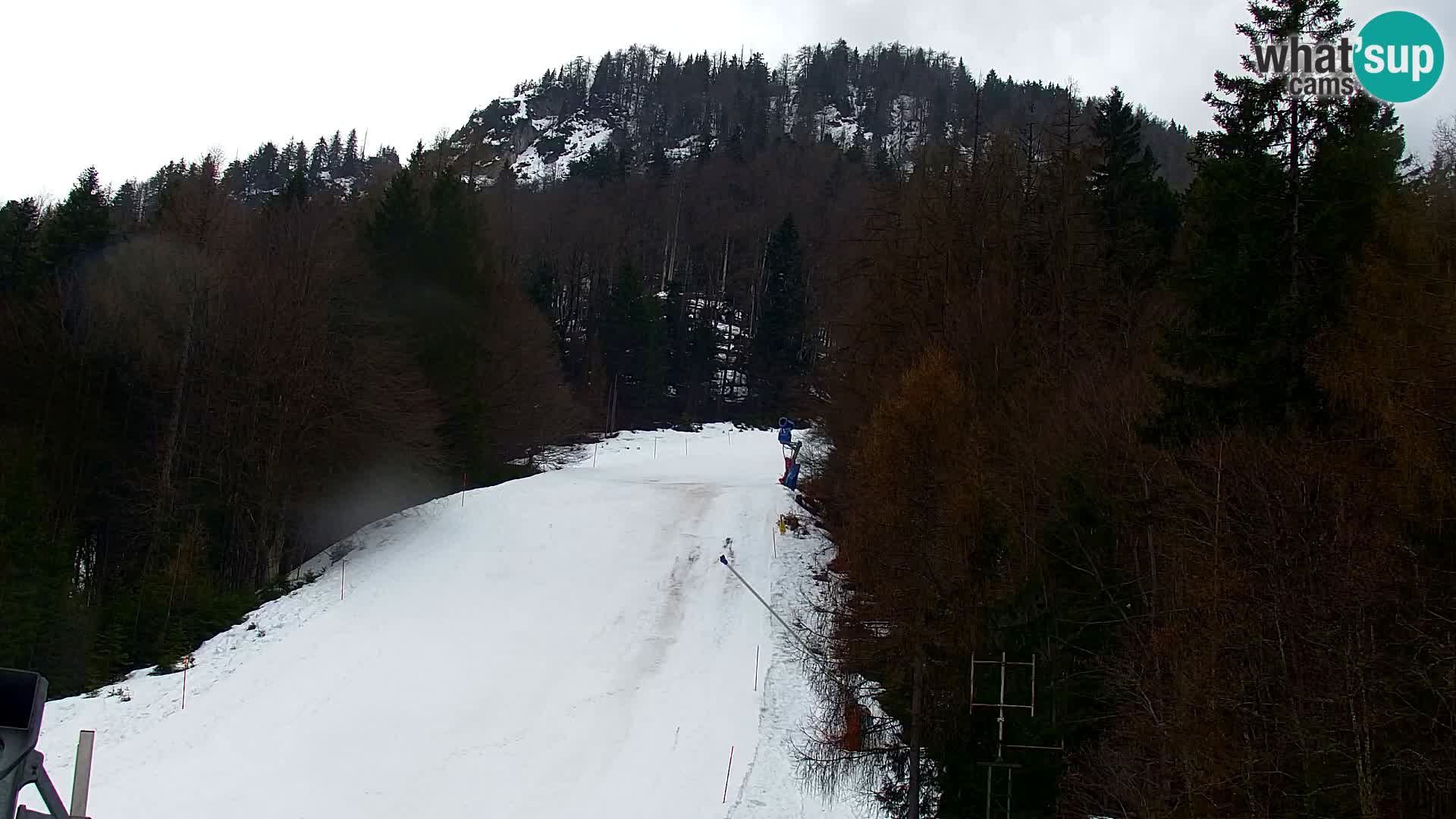 Kranjska Gora livecam VITRANC 1 | estación superior