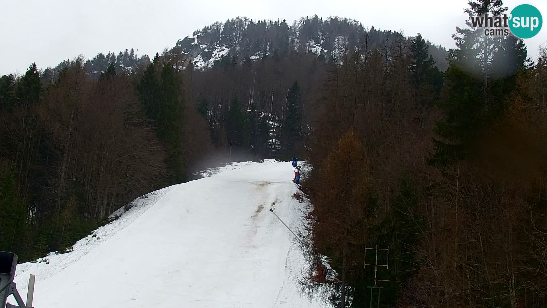 Ski Resort Kranjska Gora | VITRANC 1 upper station
