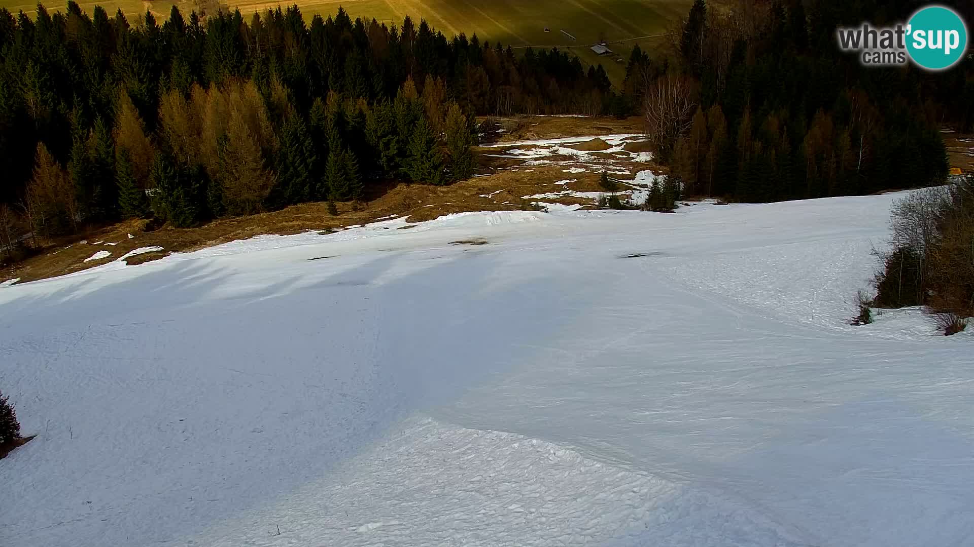 Kranjska Gora livecam VITRANC 1 | estación superior