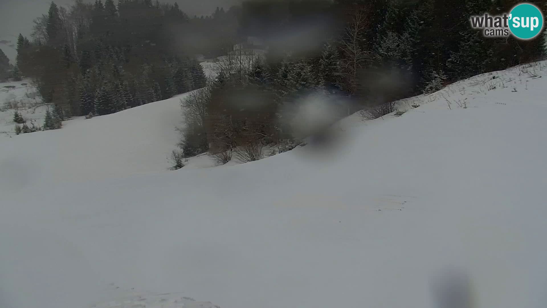 Vitranc Kranjska Gora webcam | VITRANC 1 stazione superiore