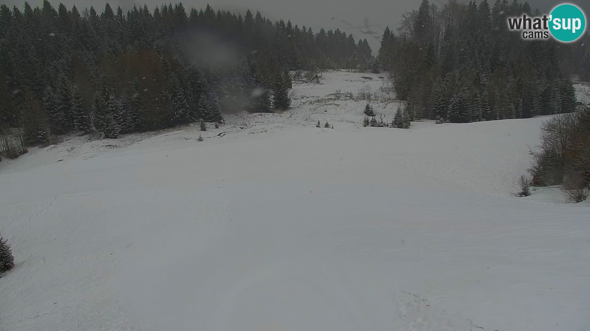 Vitranc Kranjska Gora webcam | VITRANC 1 stazione superiore