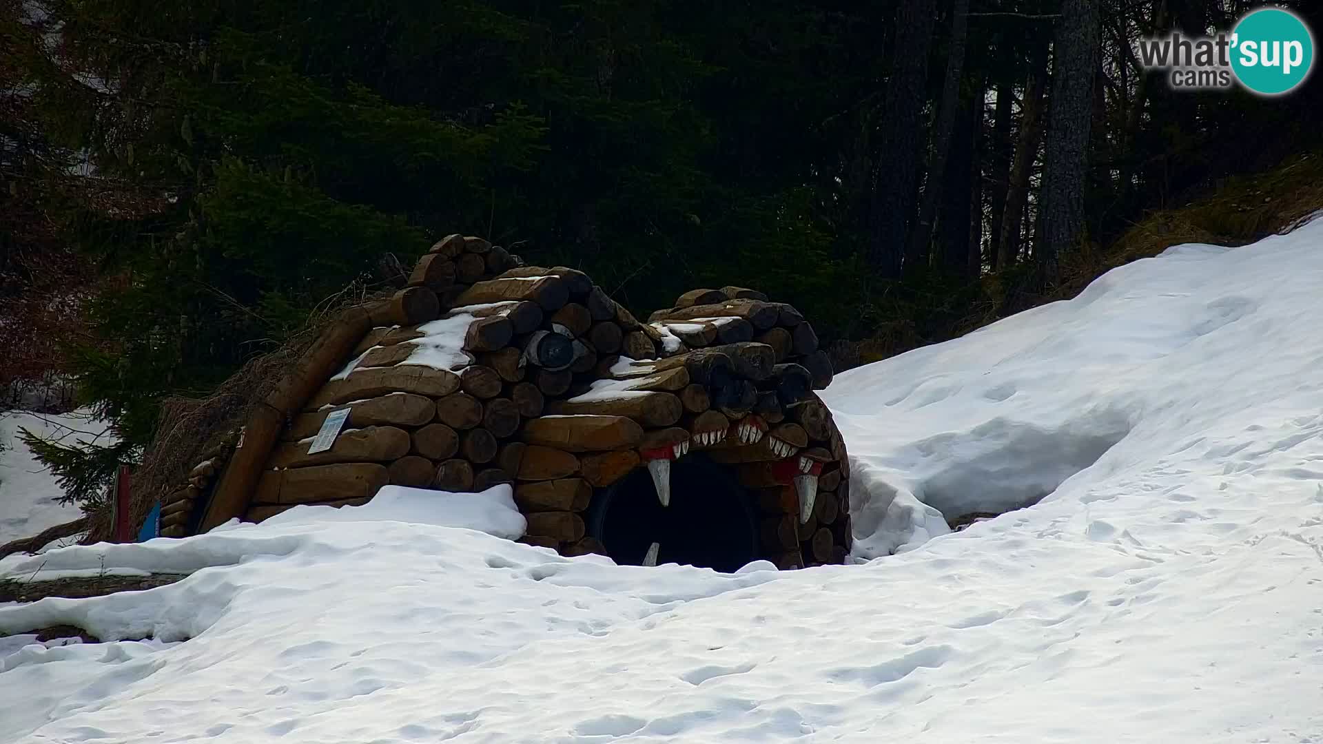 Vitranc Kranjska Gora webcam | VITRANC 1 stazione superiore