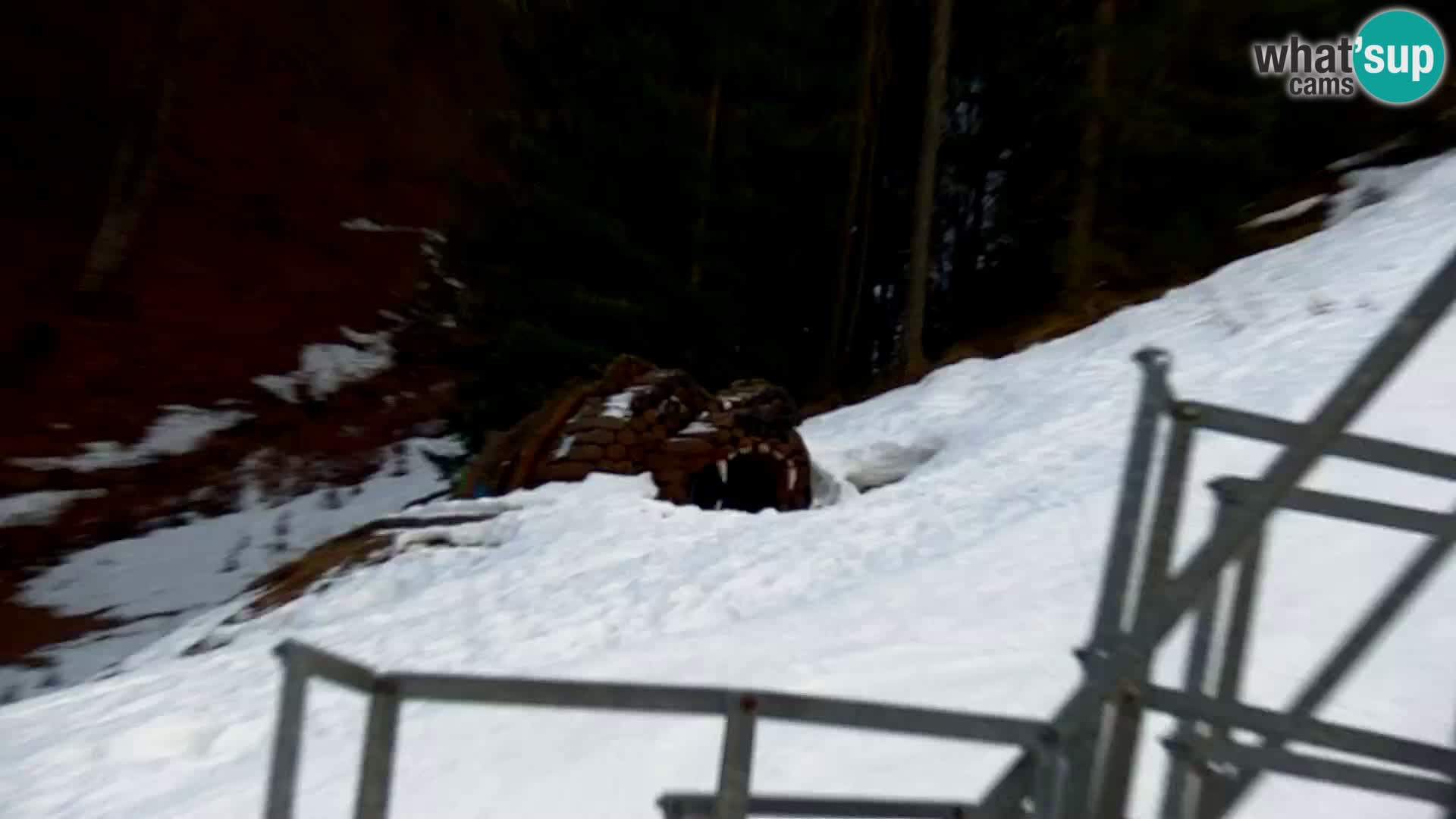 Kranjska Gora web kamera Vitranc | VITRANC 1 gornja postaja