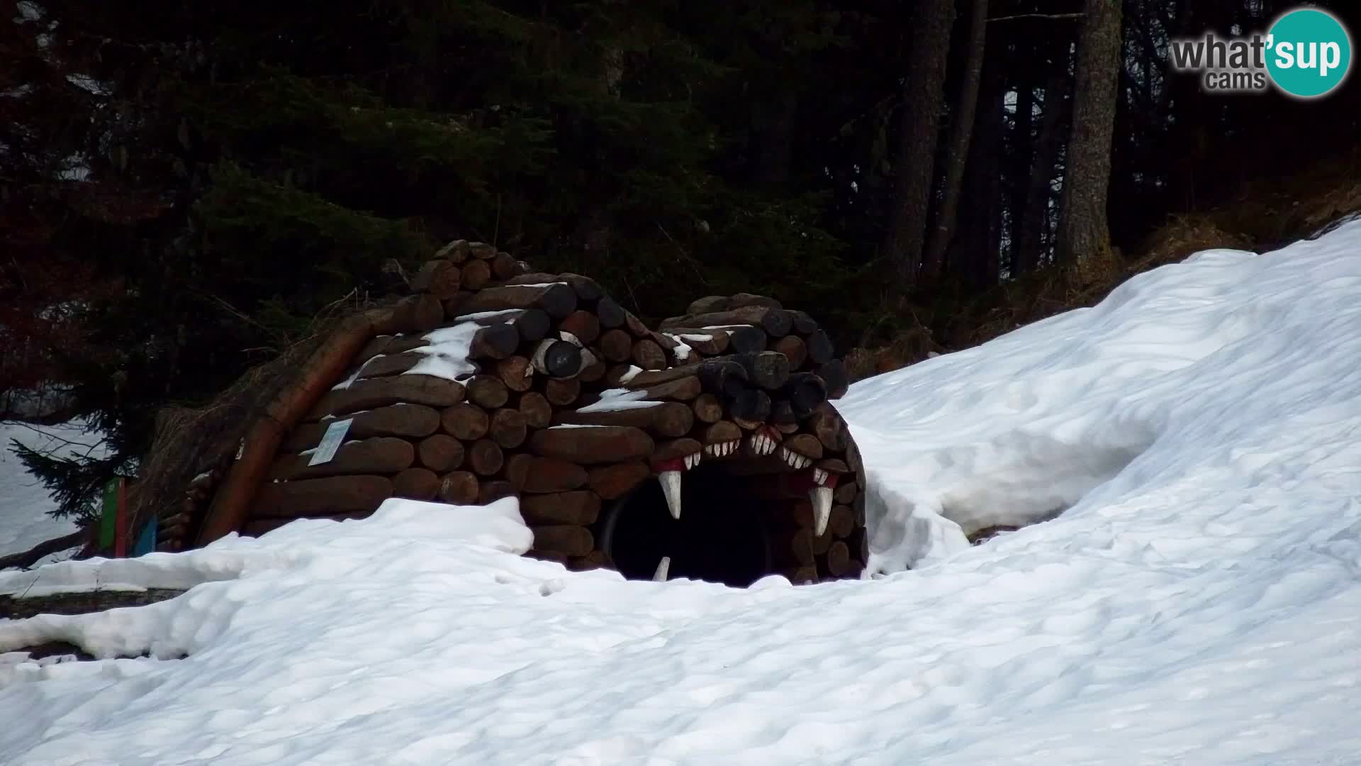 Kranjska Gora livecam VITRANC 1 | estación superior