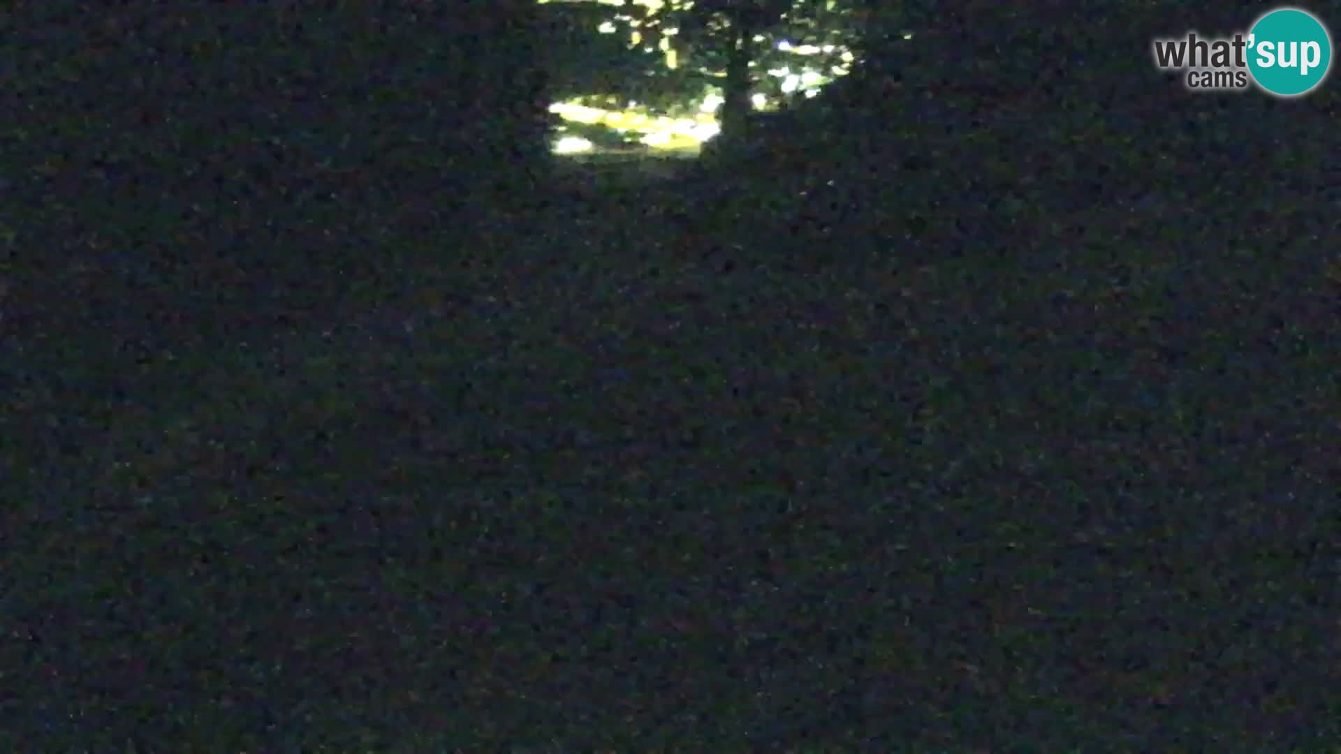 Vitranc Kranjska Gora webcam | VITRANC 1 stazione superiore