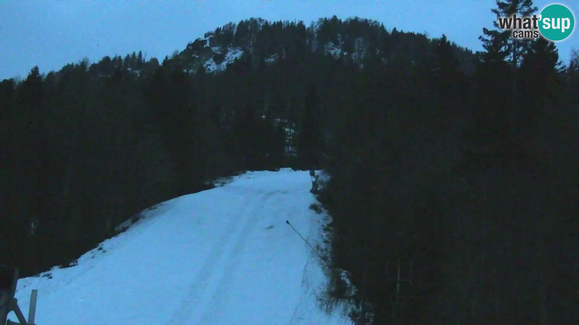 Vitranc Kranjska Gora webcam | VITRANC 1 stazione superiore