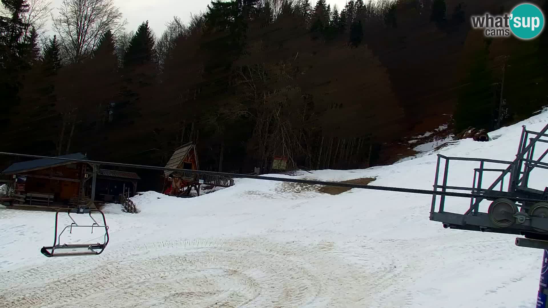 Vitranc Kranjska Gora webcam | VITRANC 1 stazione superiore