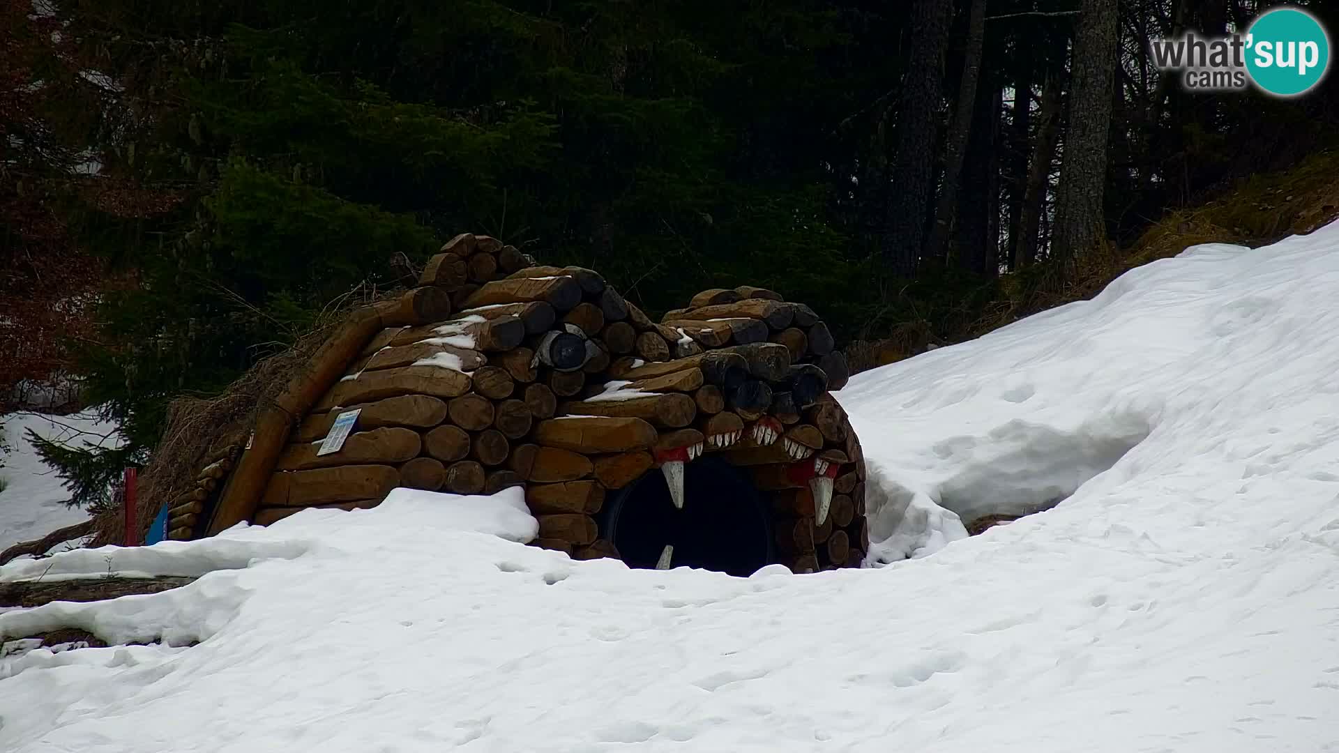 Kranjska Gora web kamera Vitranc | VITRANC 1 gornja postaja