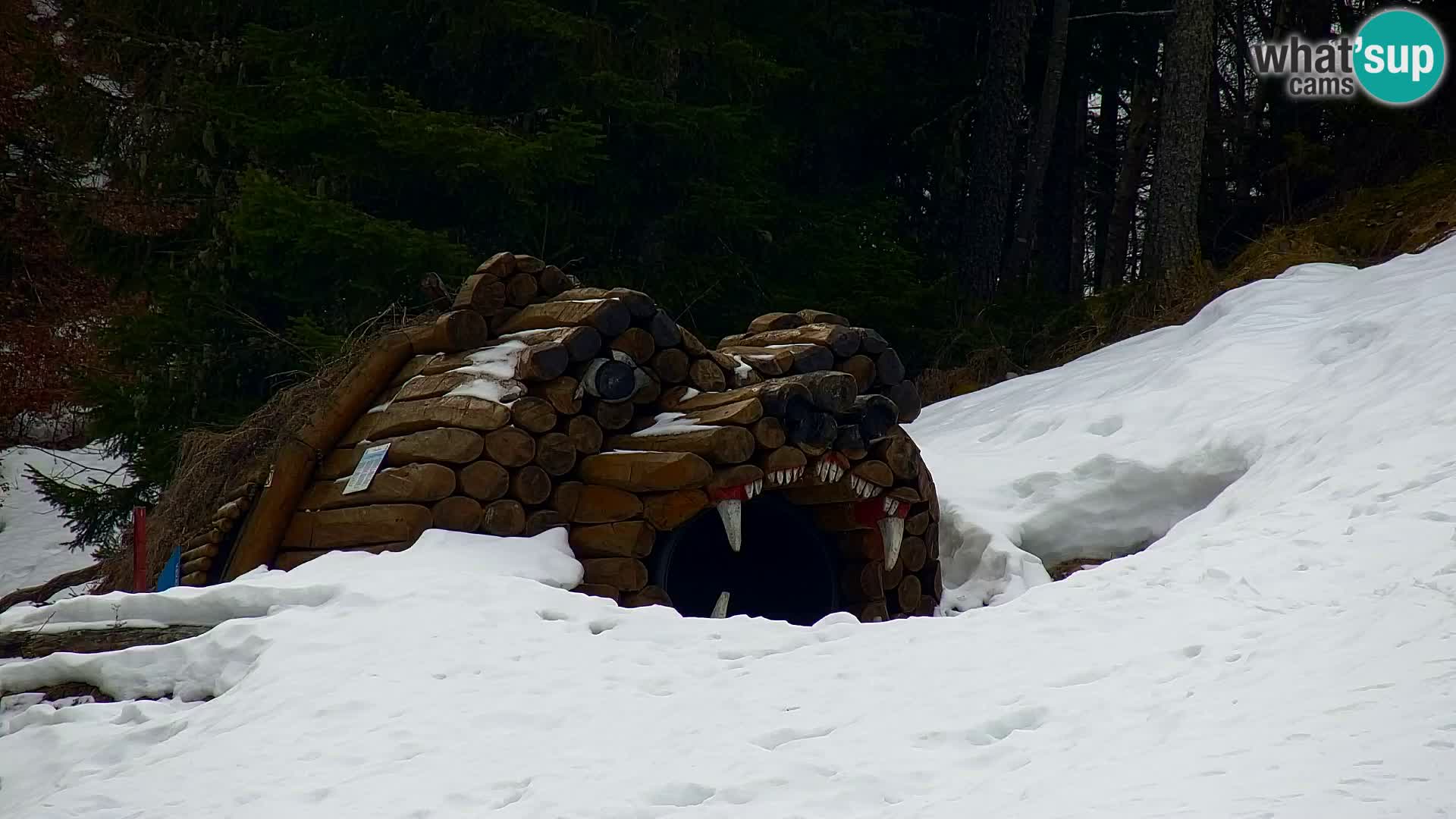 Kranjska Gora livecam VITRANC 1 | estación superior