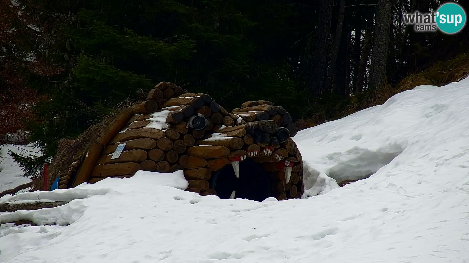 Kranjska Gora kamera VITRANC 1 | Zgornja postaja
