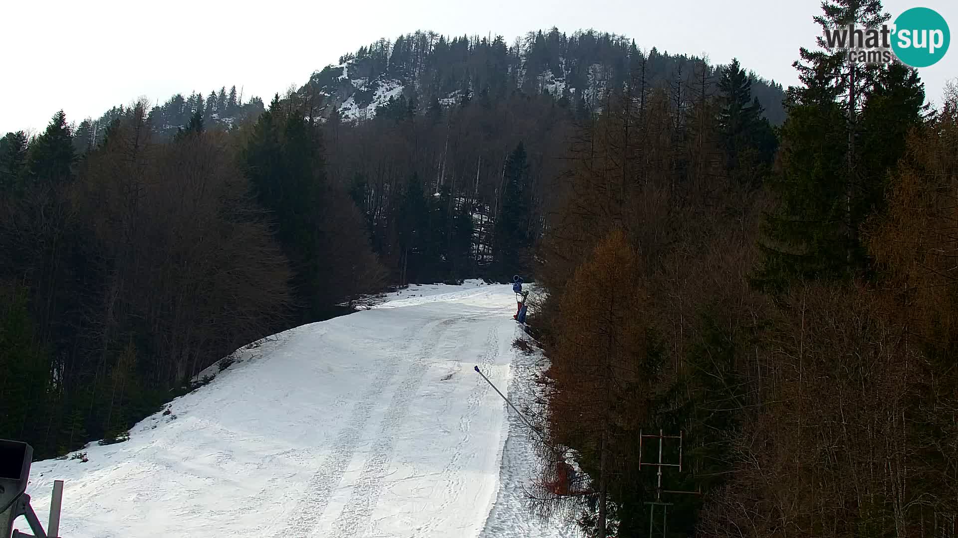 Kranjska Gora webcam VITRANC 1 | obere Station