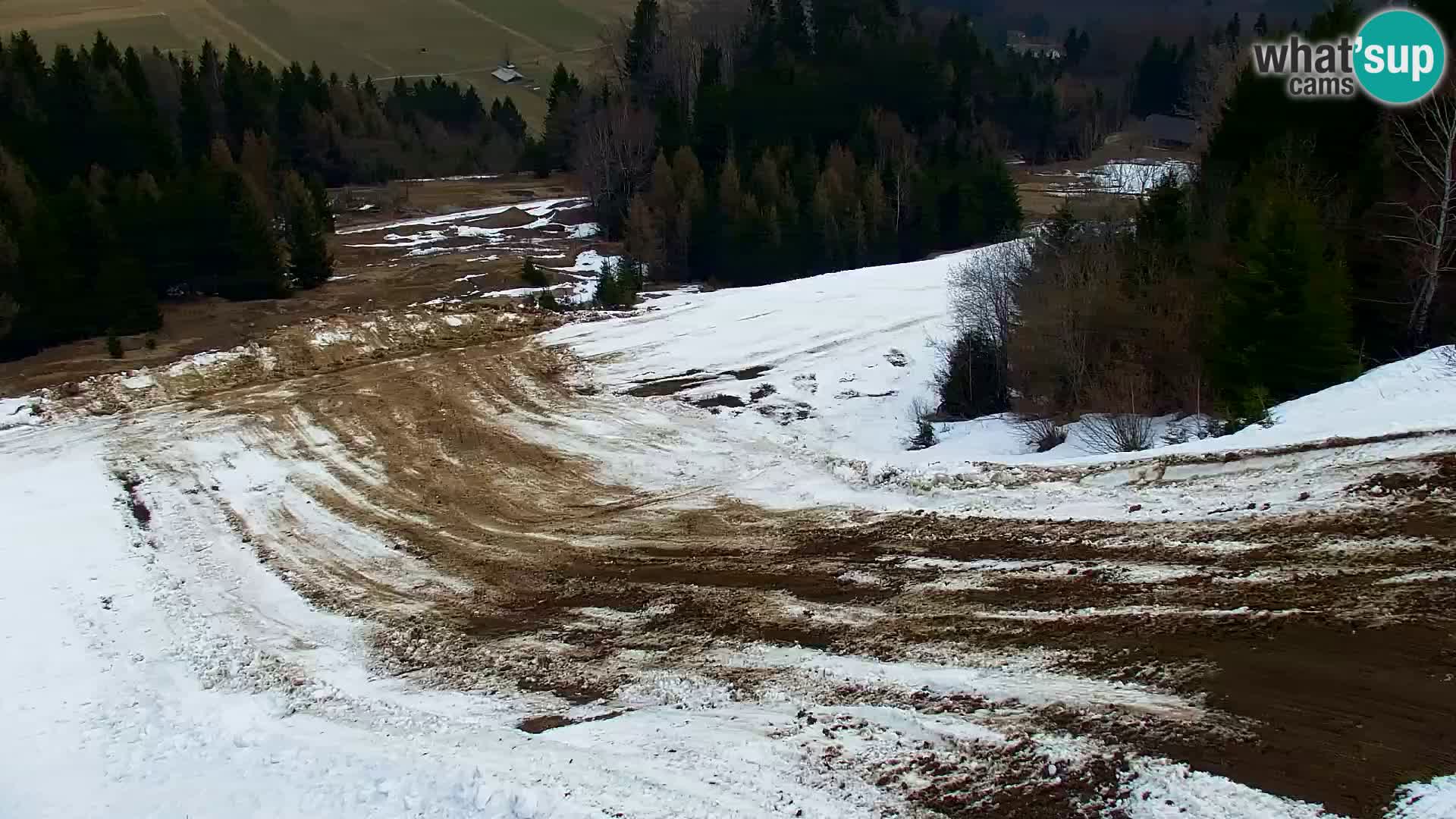 Vitranc Kranjska Gora webcam | VITRANC 1 stazione superiore