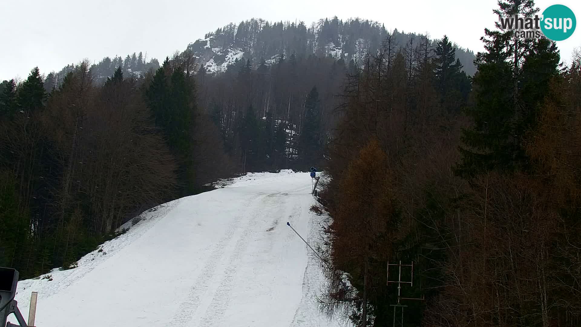 Estación de esquí Kranjska Gora | Estación superior VITRANC 1