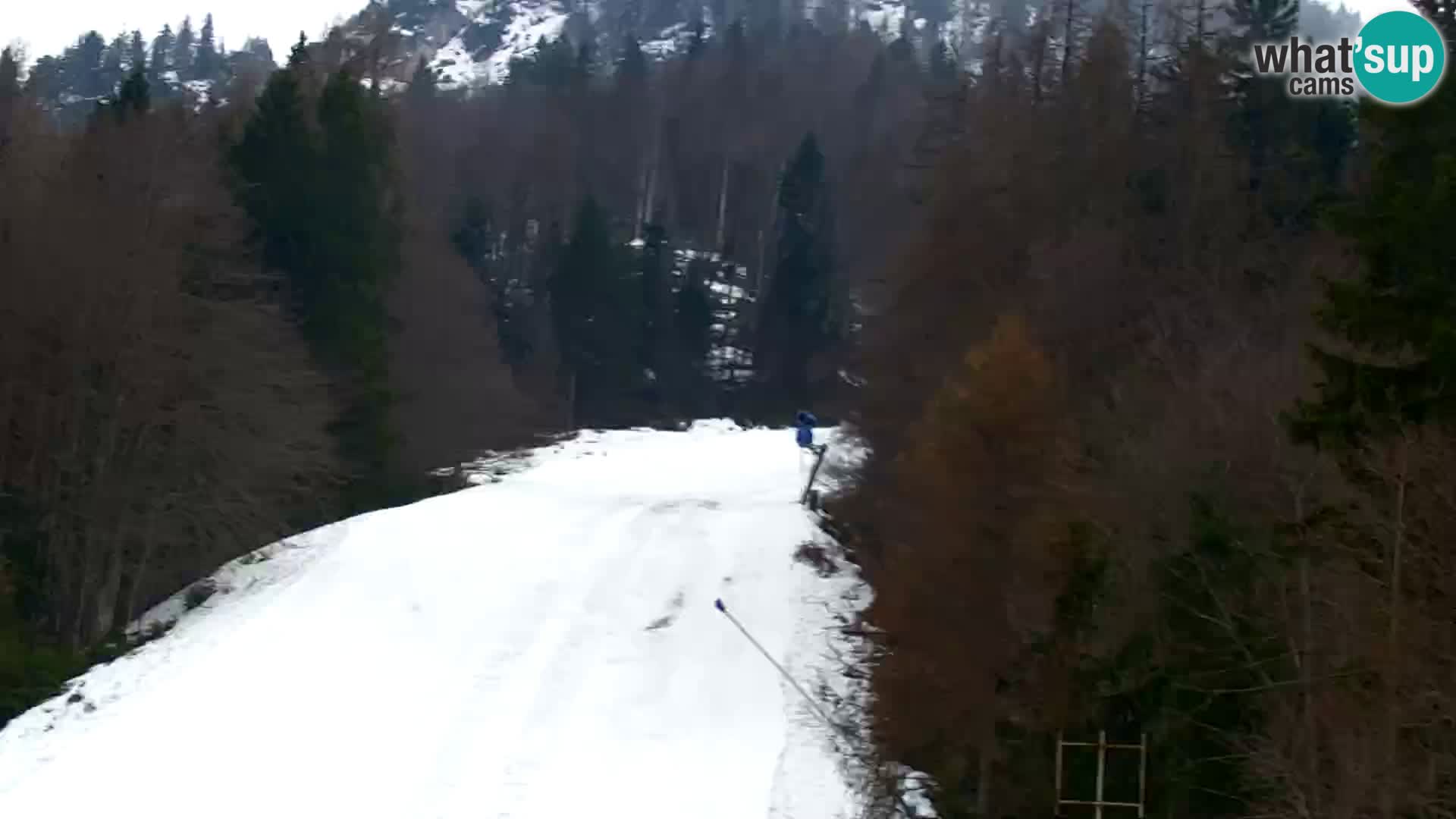 Estación de esquí Kranjska Gora | Estación superior VITRANC 1