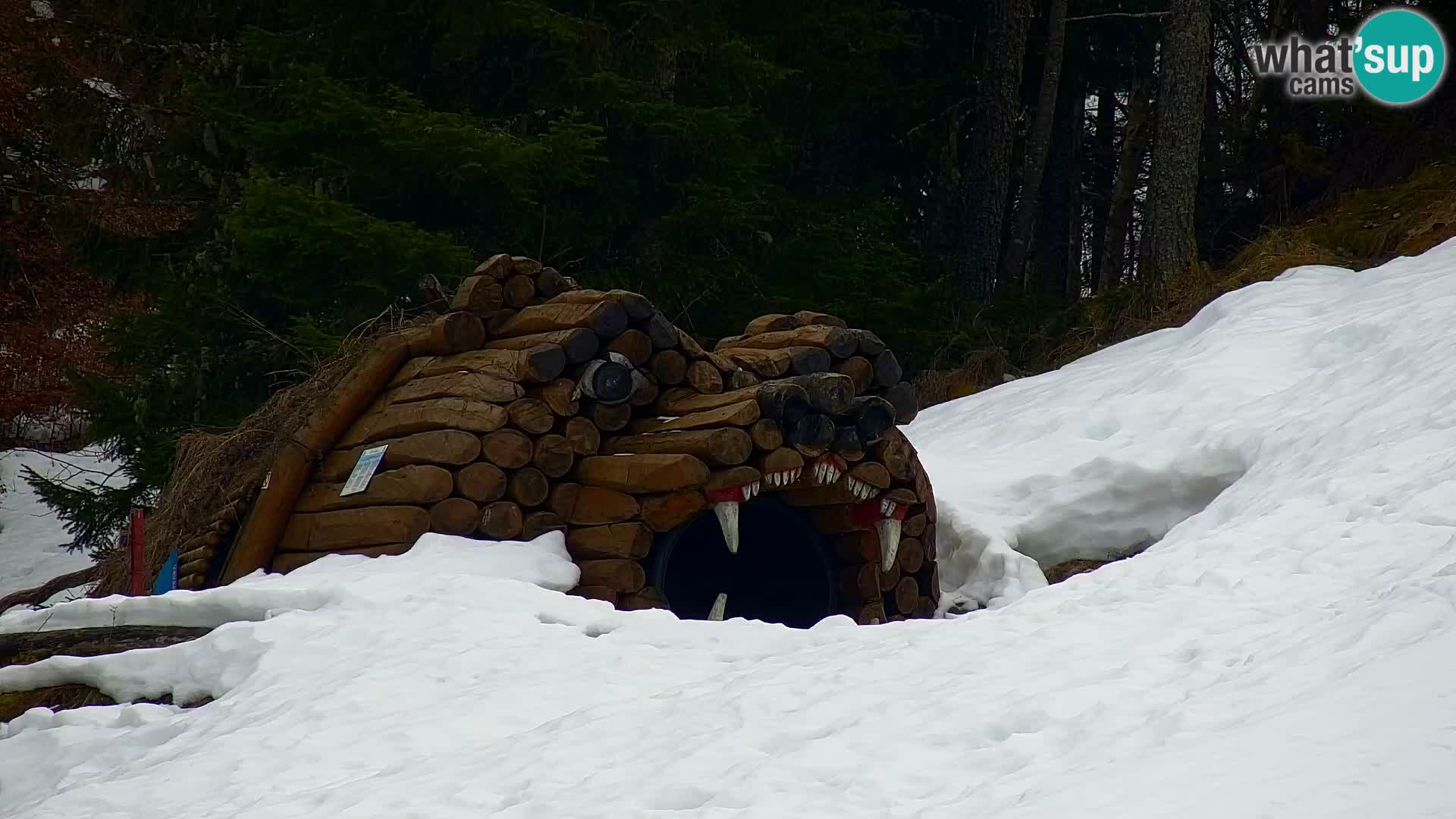 Kranjska Gora web kamera Vitranc | VITRANC 1 gornja postaja
