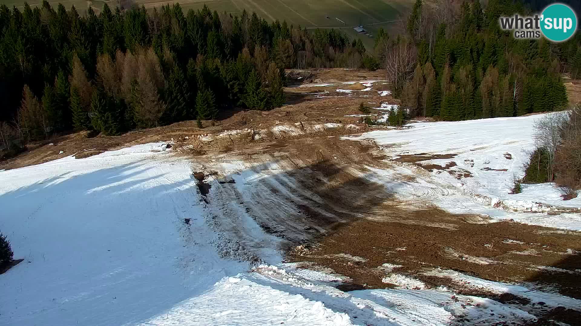 Vitranc Kranjska Gora webcam | VITRANC 1 stazione superiore