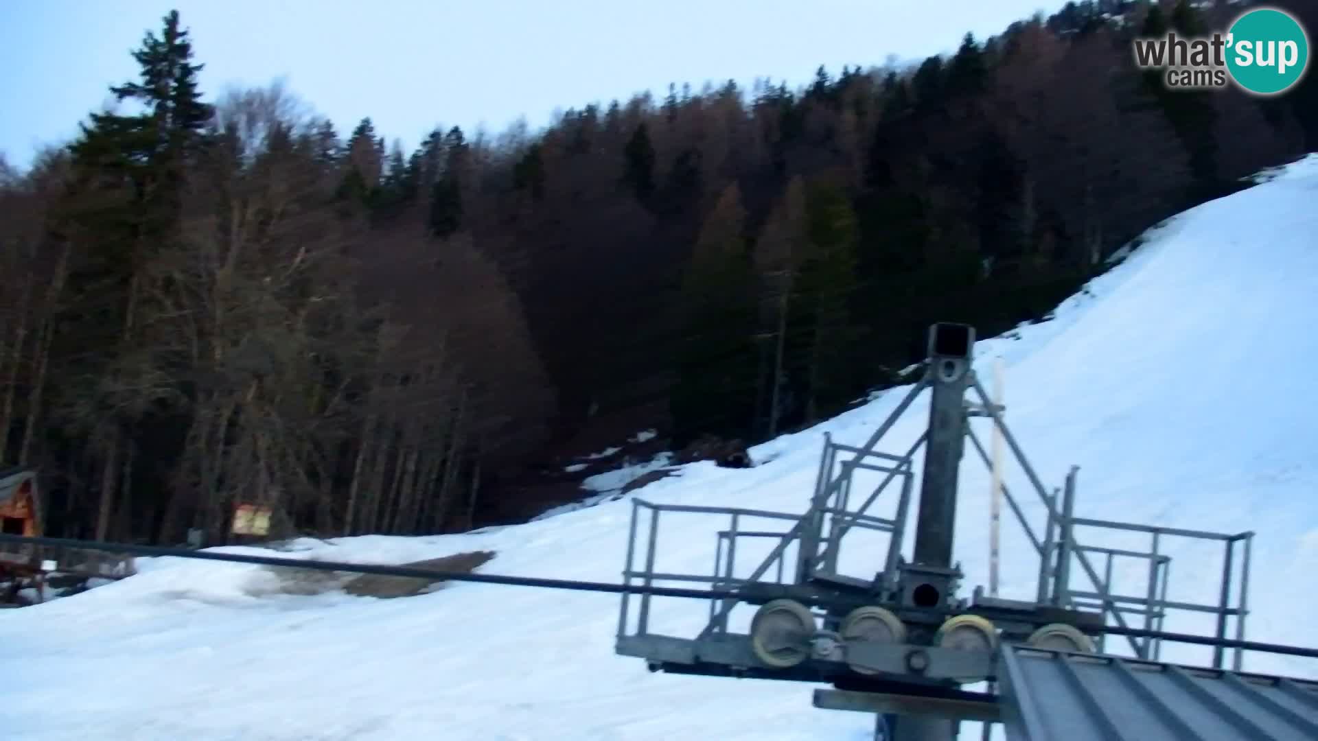 Kranjska Gora livecam VITRANC 1 | estación superior