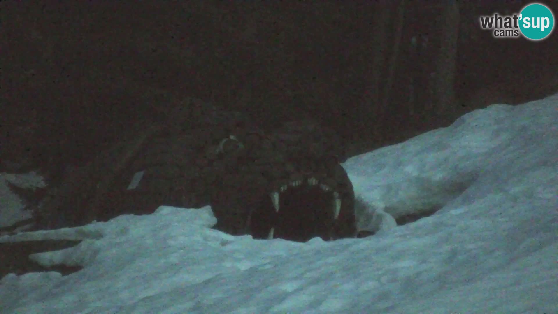 Estación de esquí Kranjska Gora | Estación superior VITRANC 1