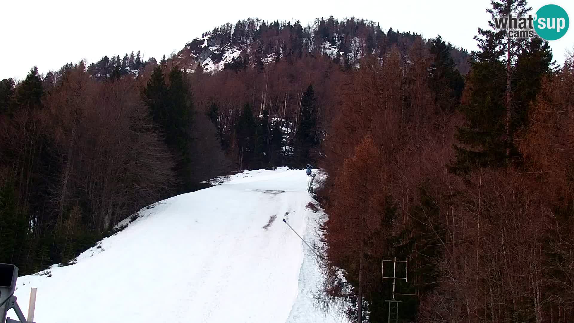 Estación de esquí Kranjska Gora | Estación superior VITRANC 1