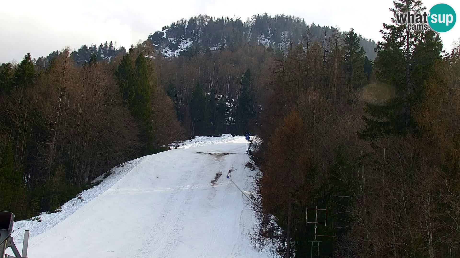 Vitranc Kranjska Gora webcam | VITRANC 1 stazione superiore