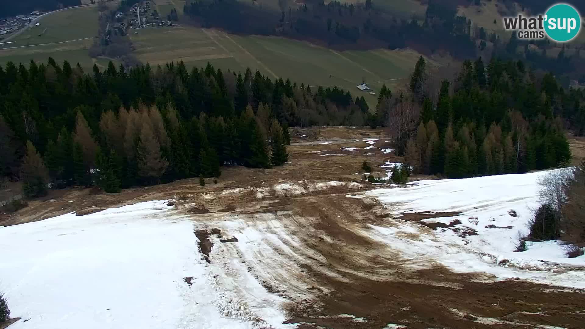 Kranjska Gora livecam VITRANC 1 | estación superior