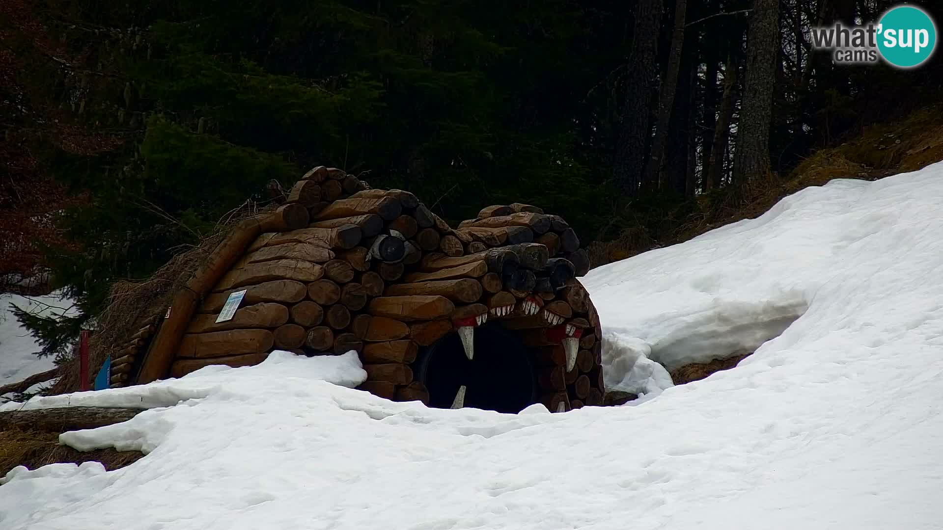 Vitranc Kranjska Gora webcam | VITRANC 1 stazione superiore