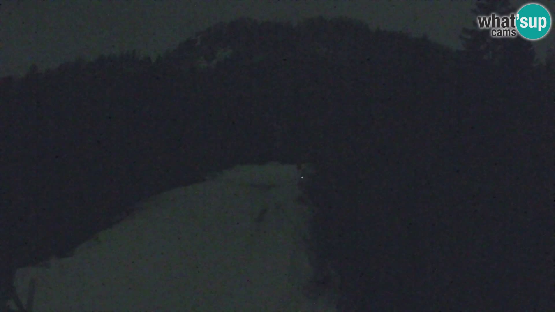 Vitranc Kranjska Gora webcam | VITRANC 1 stazione superiore