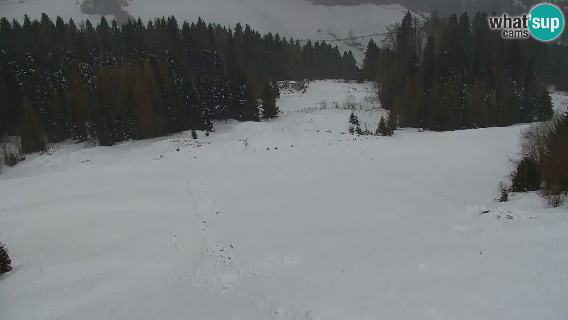 Kranjska Gora livecam VITRANC 1 | estación superior