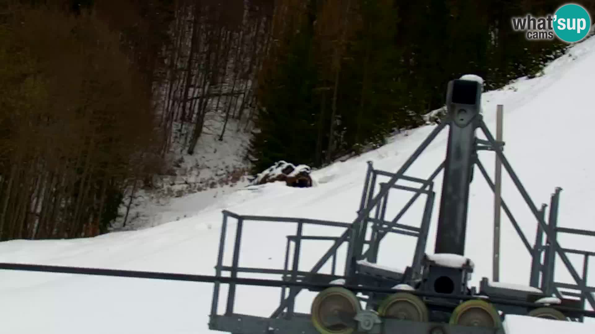 Kranjska Gora web kamera Vitranc | VITRANC 1 gornja postaja