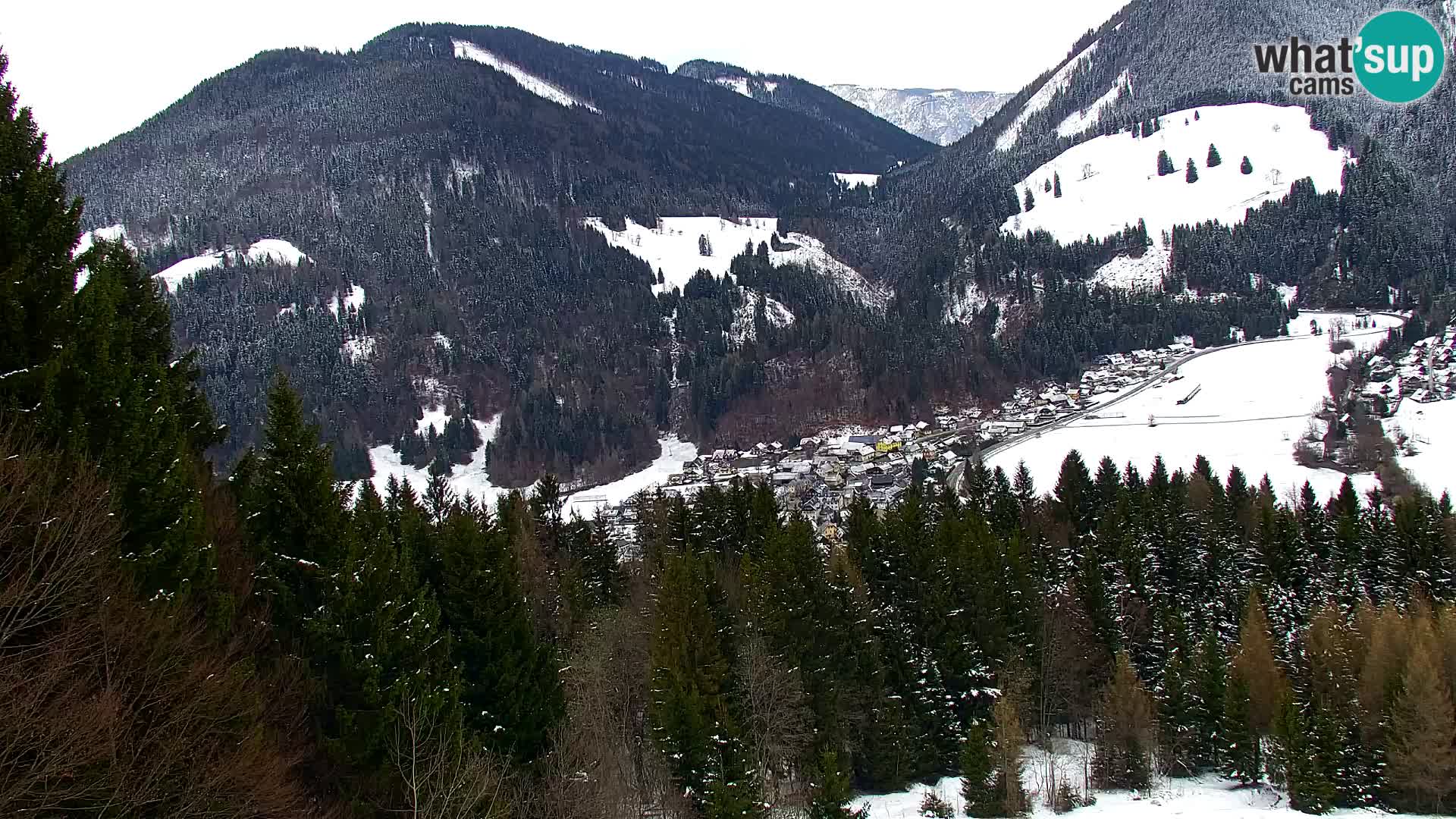 Vitranc Kranjska Gora webcam | VITRANC 1 stazione superiore