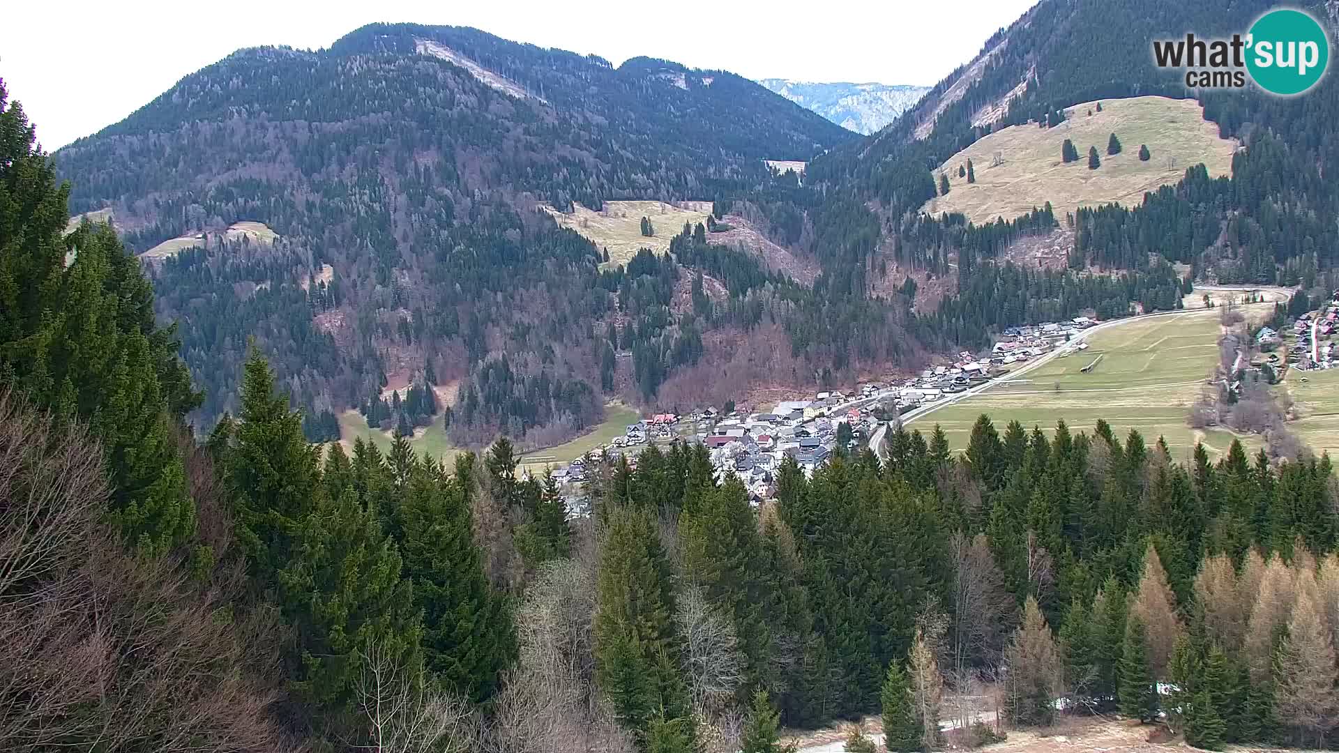 Vitranc Kranjska Gora webcam | VITRANC 1 stazione superiore