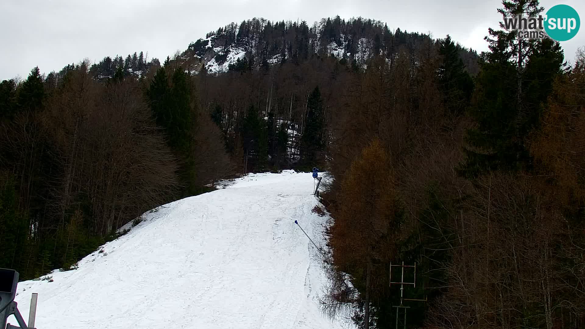 Estación de esquí Kranjska Gora | Estación superior VITRANC 1