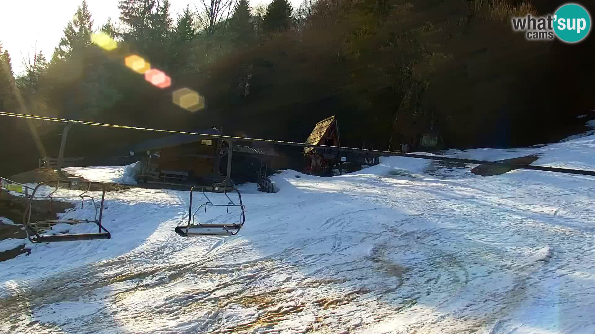 Vitranc Kranjska Gora webcam | VITRANC 1 stazione superiore