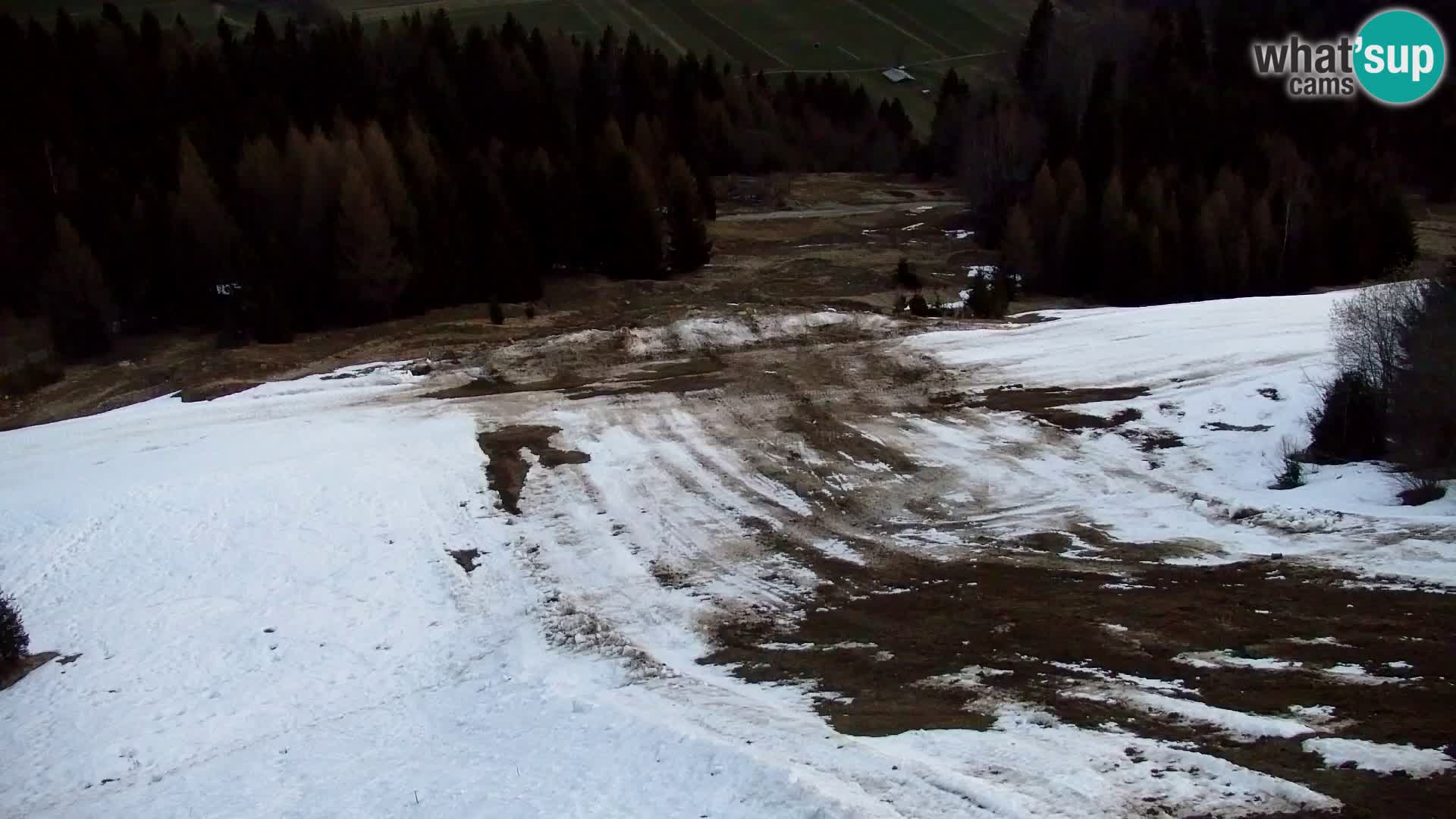 Vitranc Kranjska Gora webcam | VITRANC 1 stazione superiore