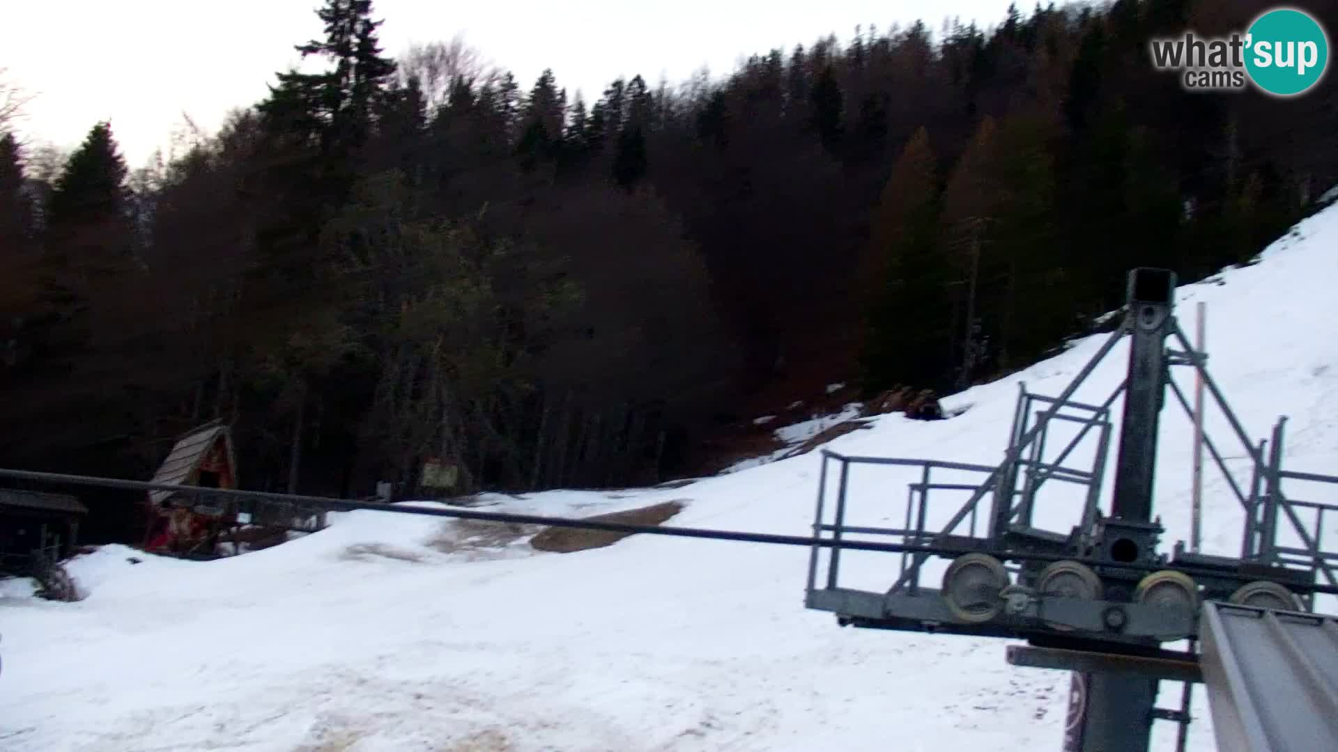 Vitranc Kranjska Gora webcam | VITRANC 1 stazione superiore