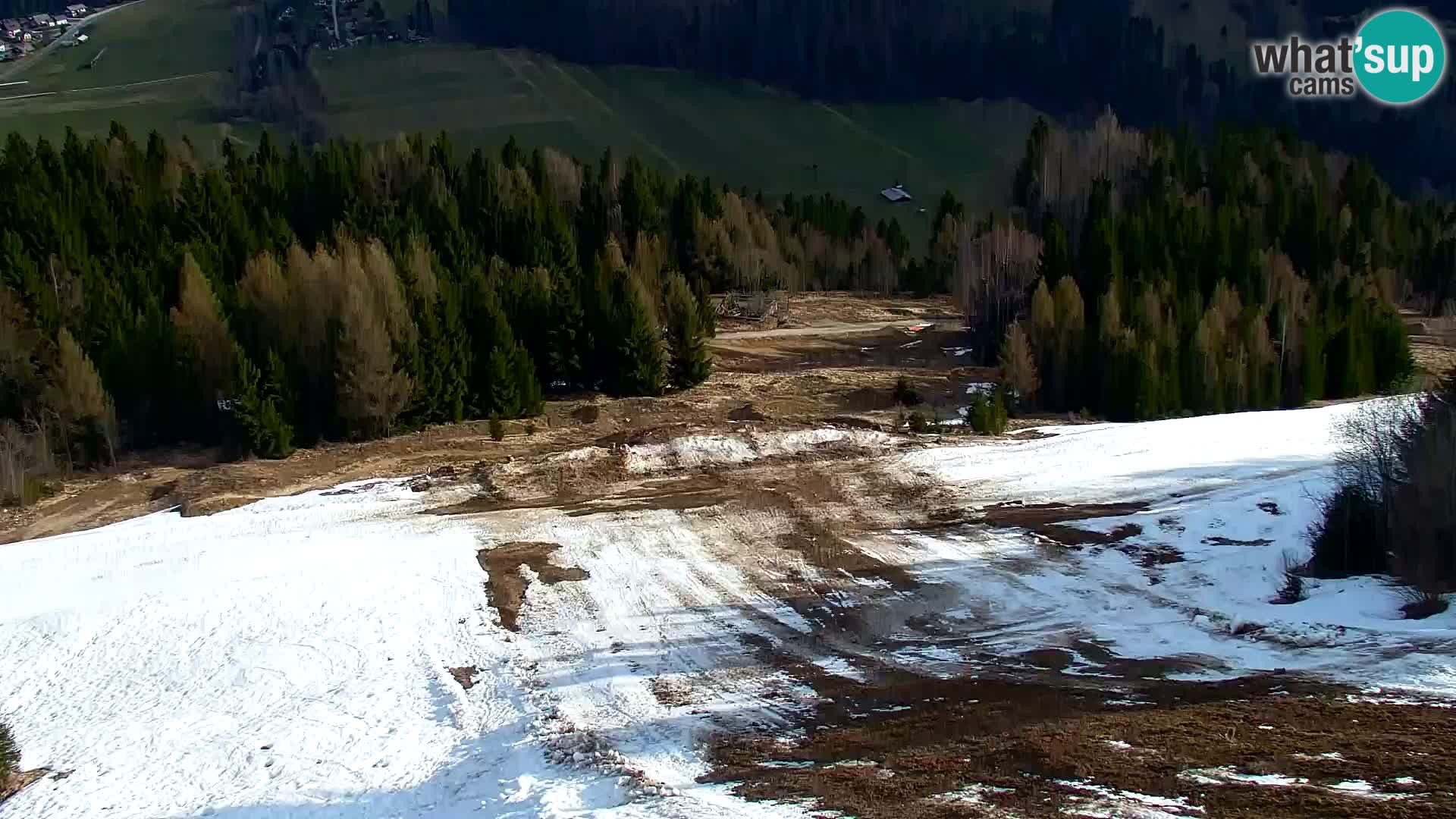 Vitranc Kranjska Gora webcam | VITRANC 1 stazione superiore