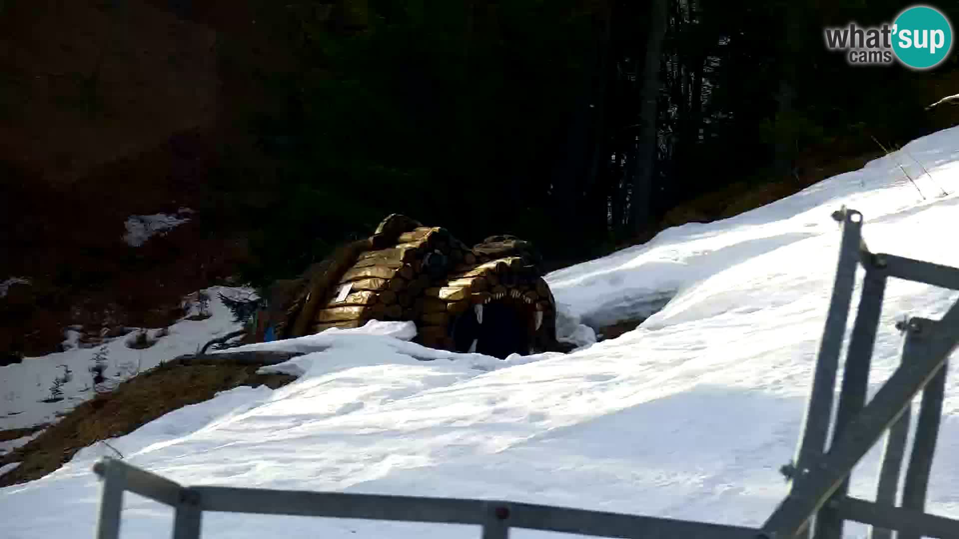 Vitranc Kranjska Gora webcam | VITRANC 1 stazione superiore