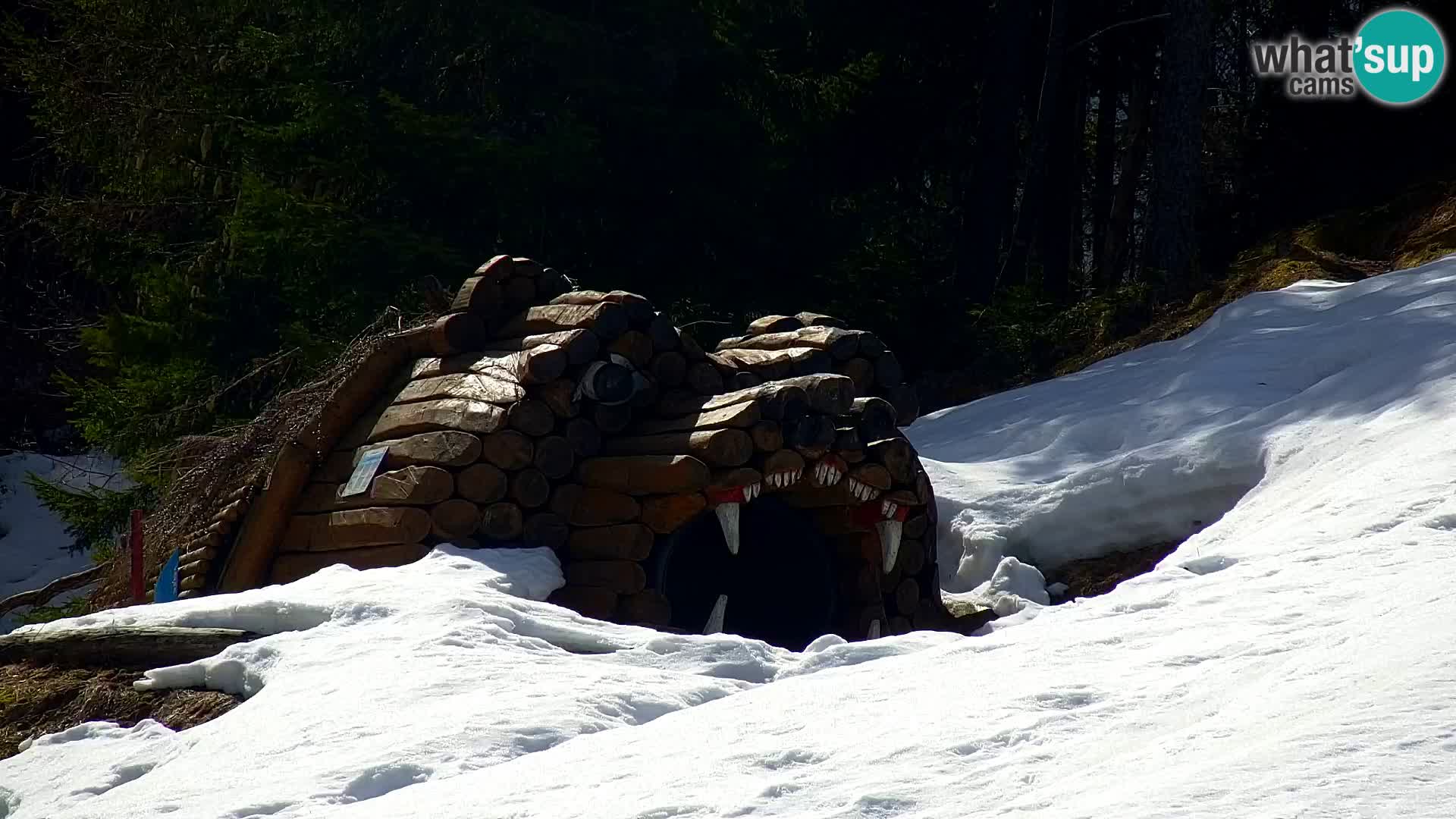 Kranjska Gora livecam VITRANC 1 | estación superior