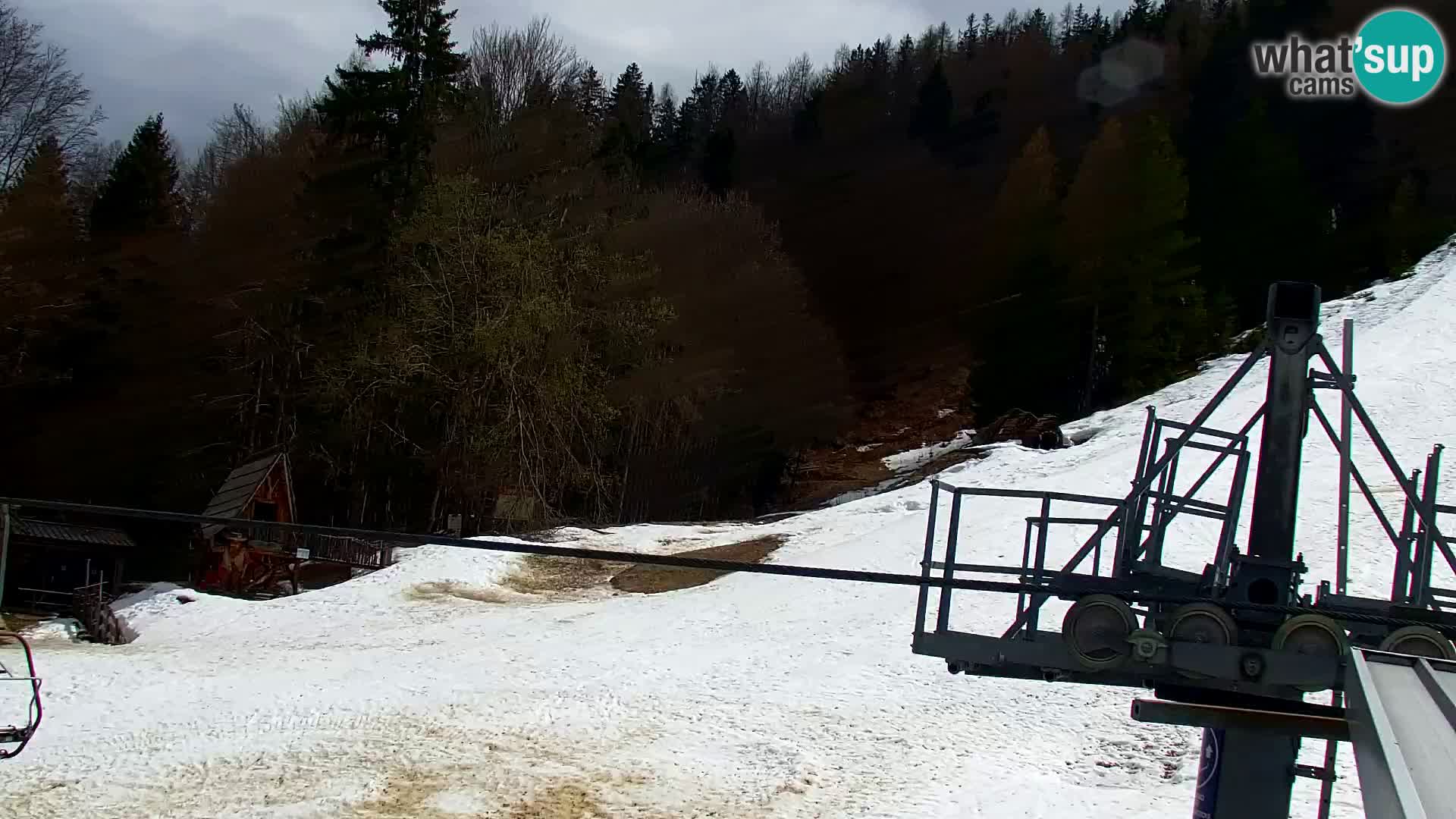 Vitranc Kranjska Gora webcam | VITRANC 1 stazione superiore