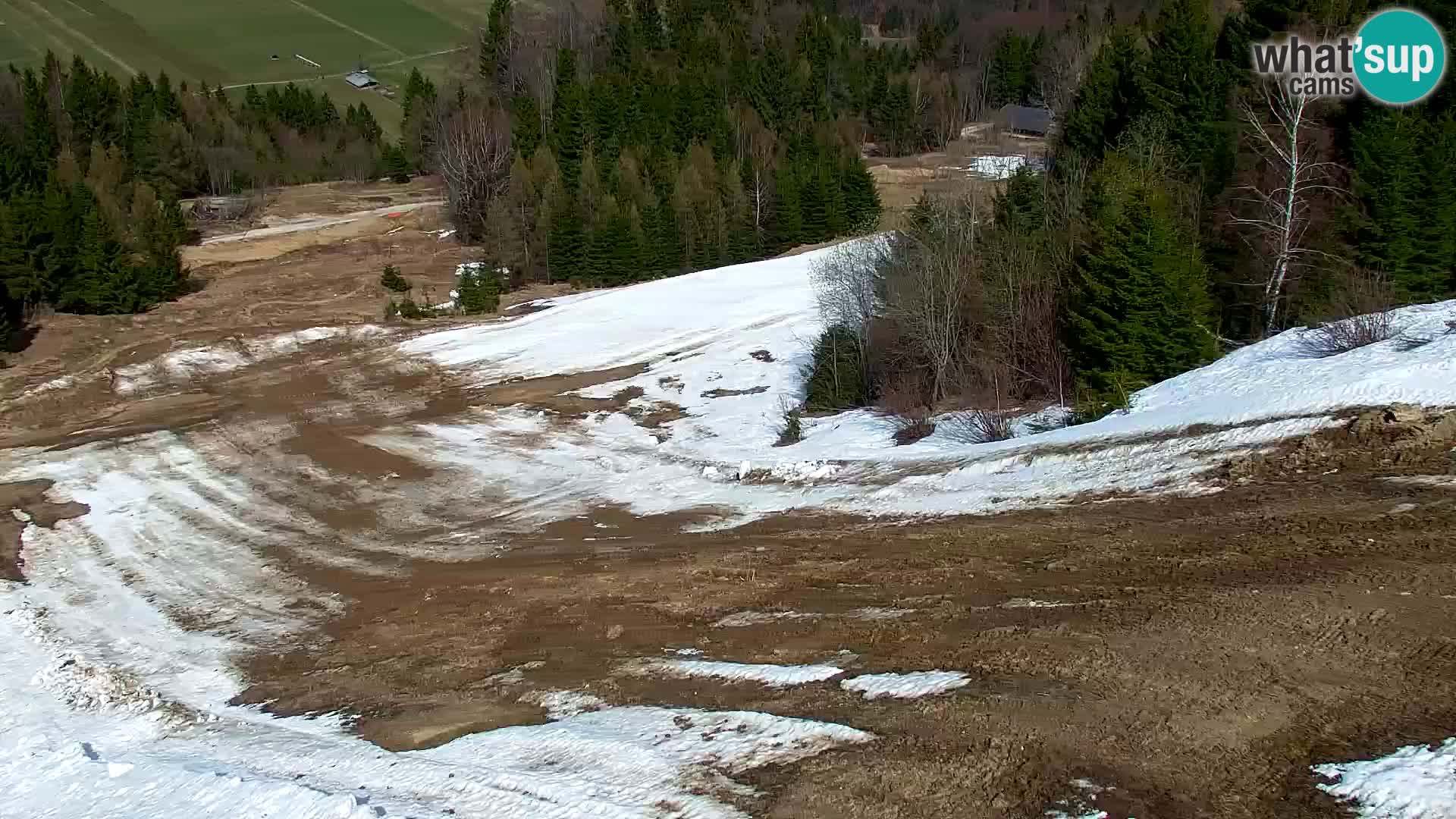 Vitranc Kranjska Gora webcam | VITRANC 1 stazione superiore