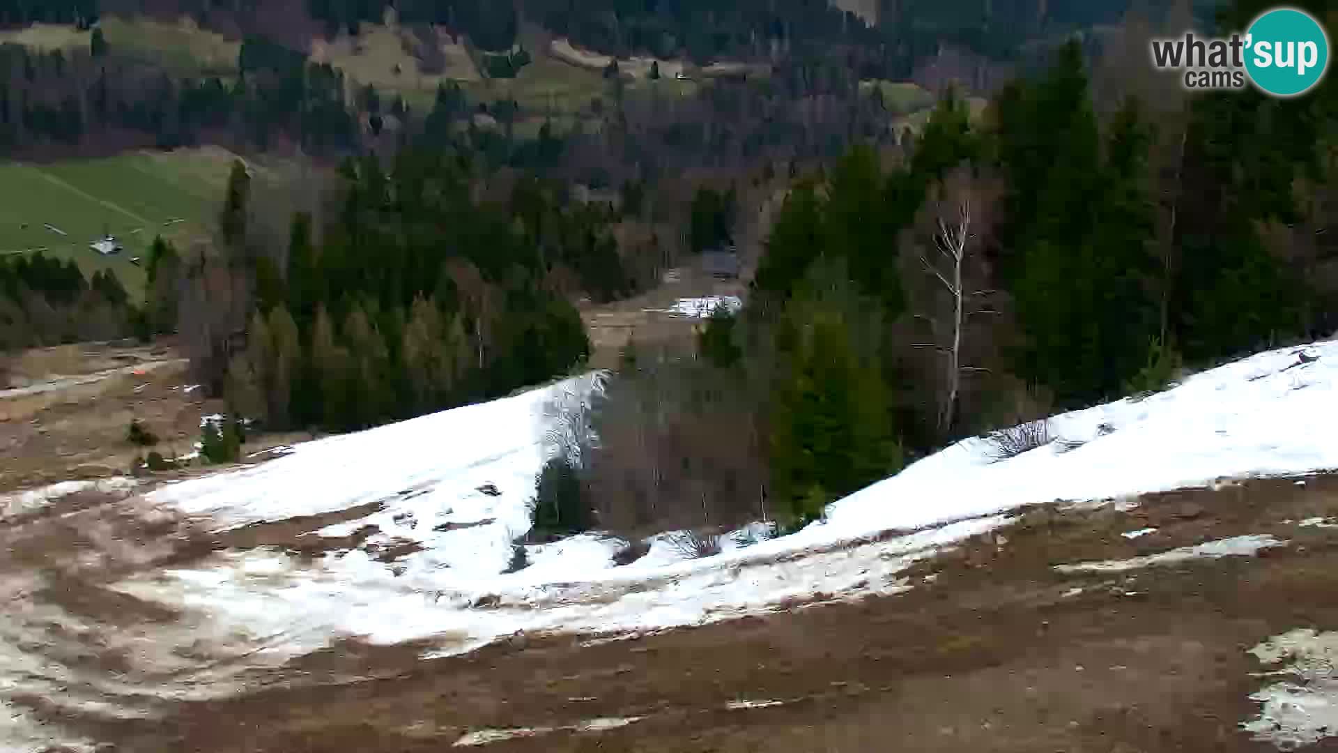 Kranjska Gora livecam VITRANC 1 | estación superior