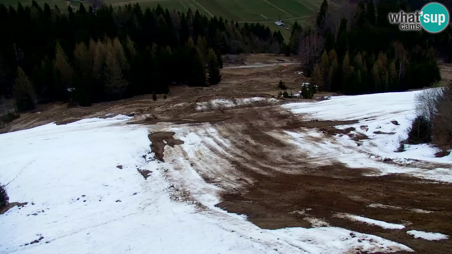 Vitranc Kranjska Gora webcam | VITRANC 1 stazione superiore