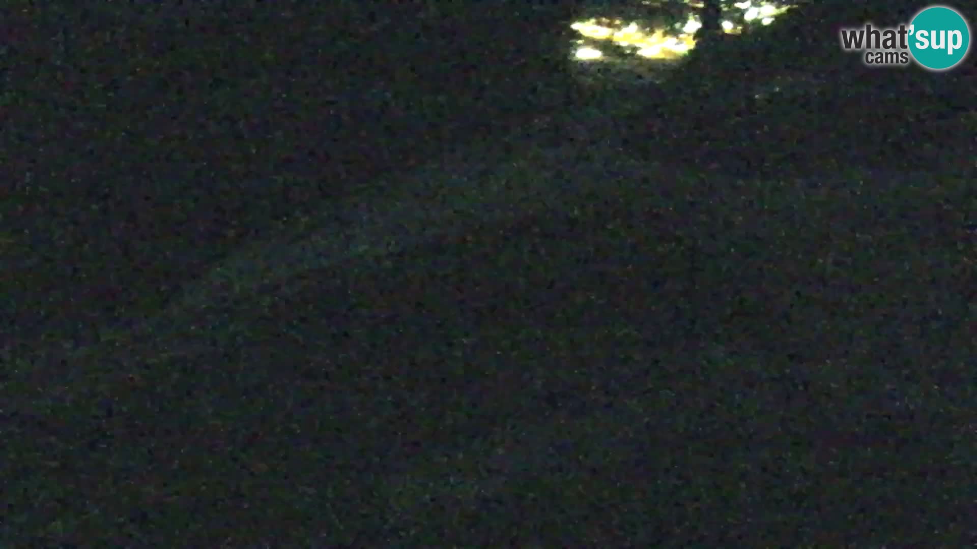 Vitranc Kranjska Gora webcam | VITRANC 1 stazione superiore